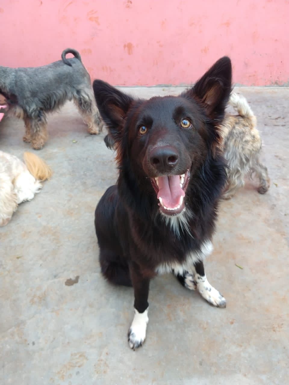 image-9