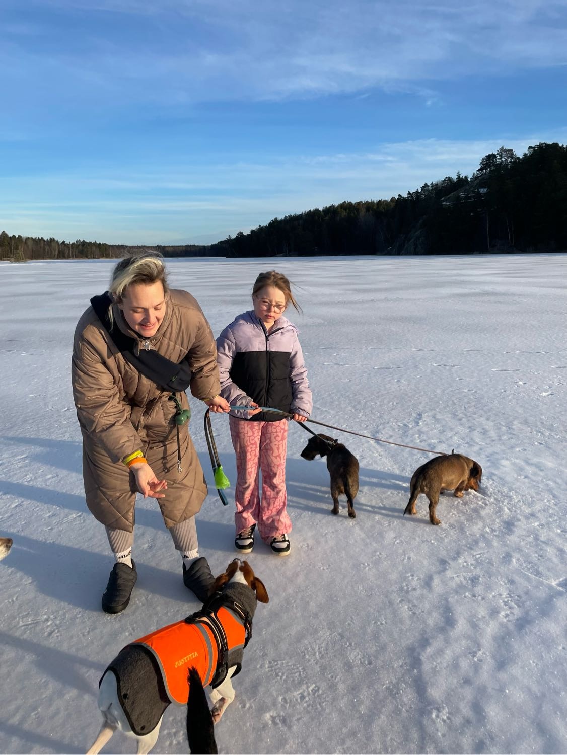 image-9