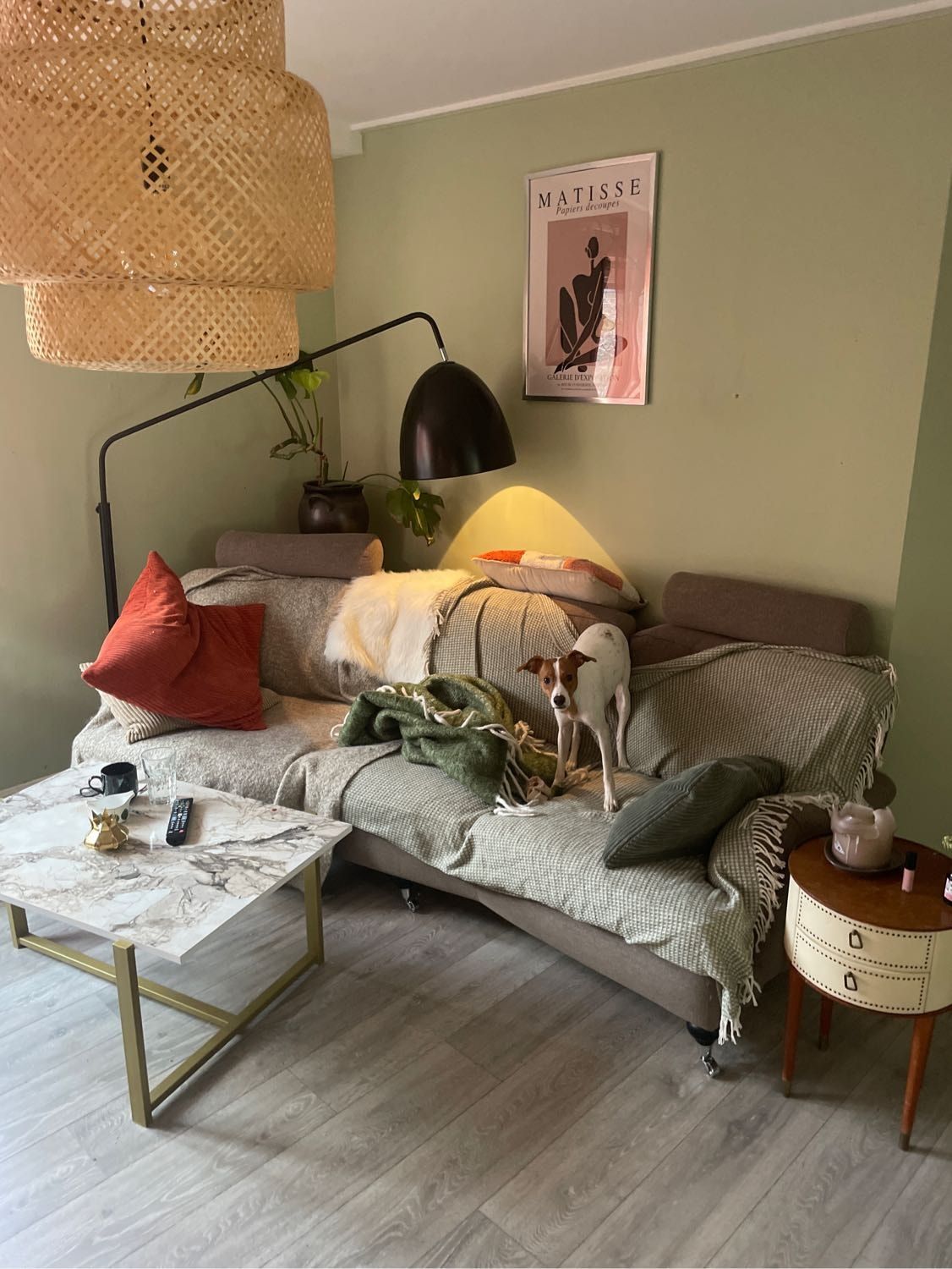 image-7