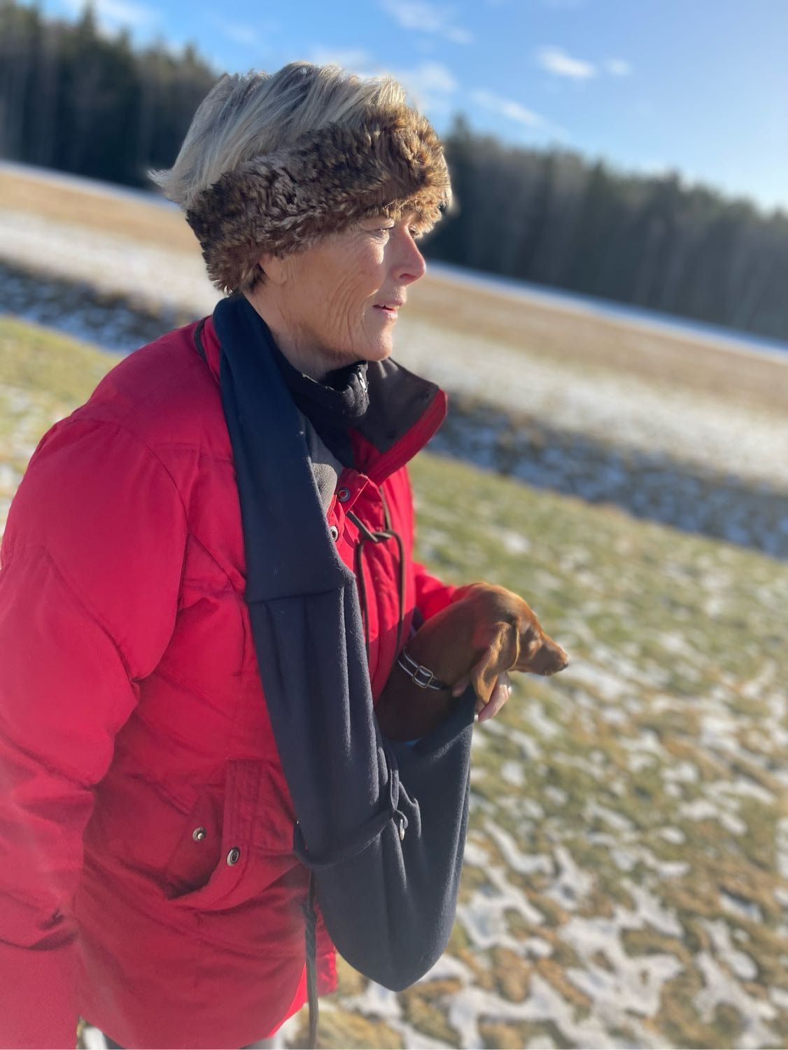image-1