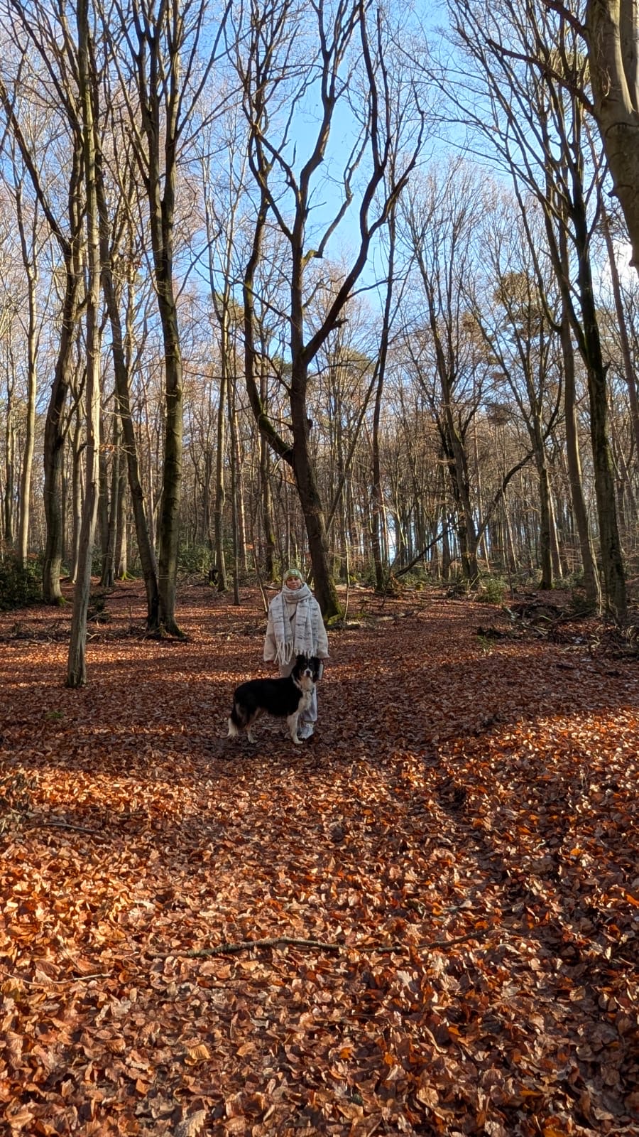 image-9