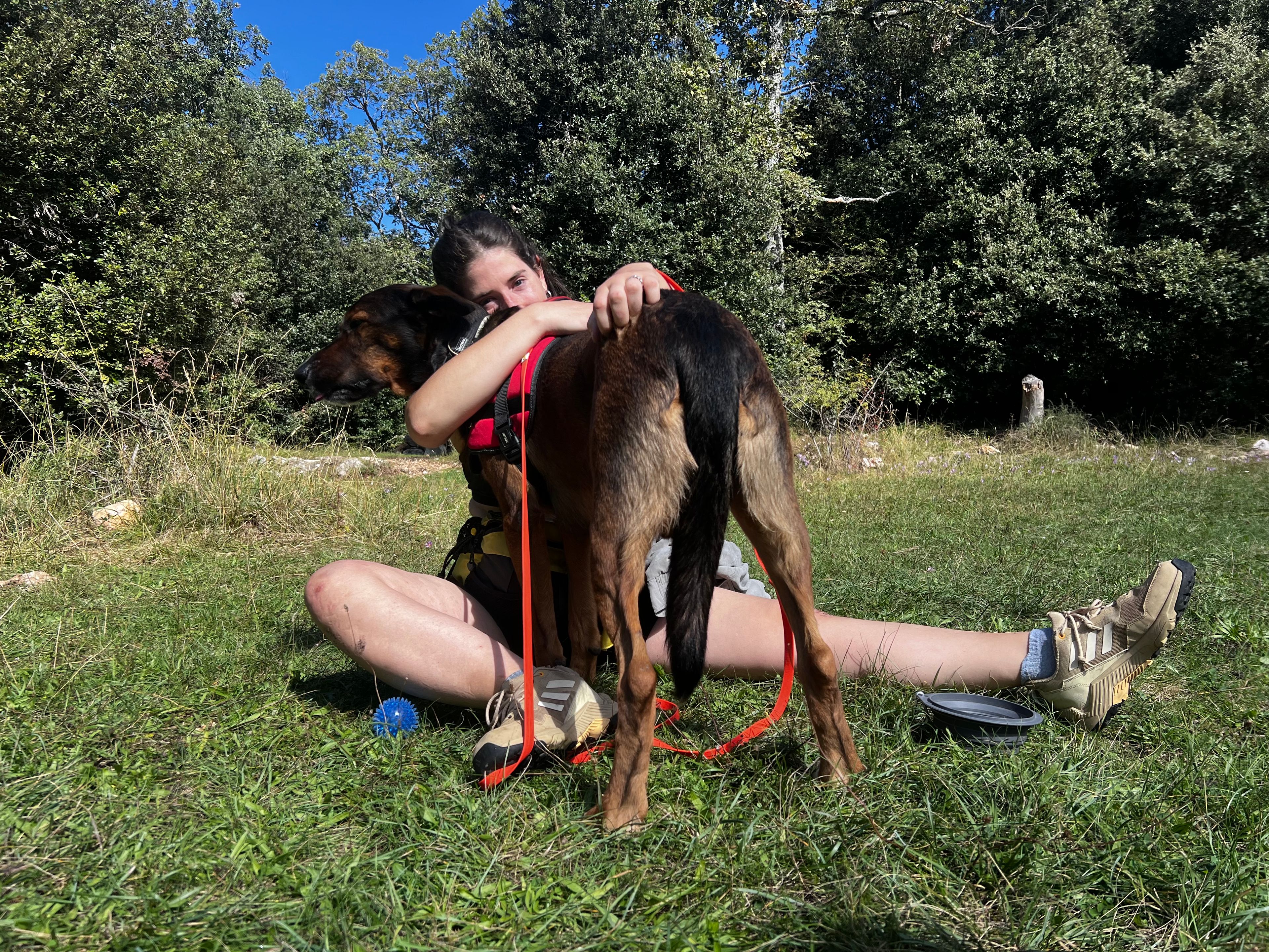 image-2