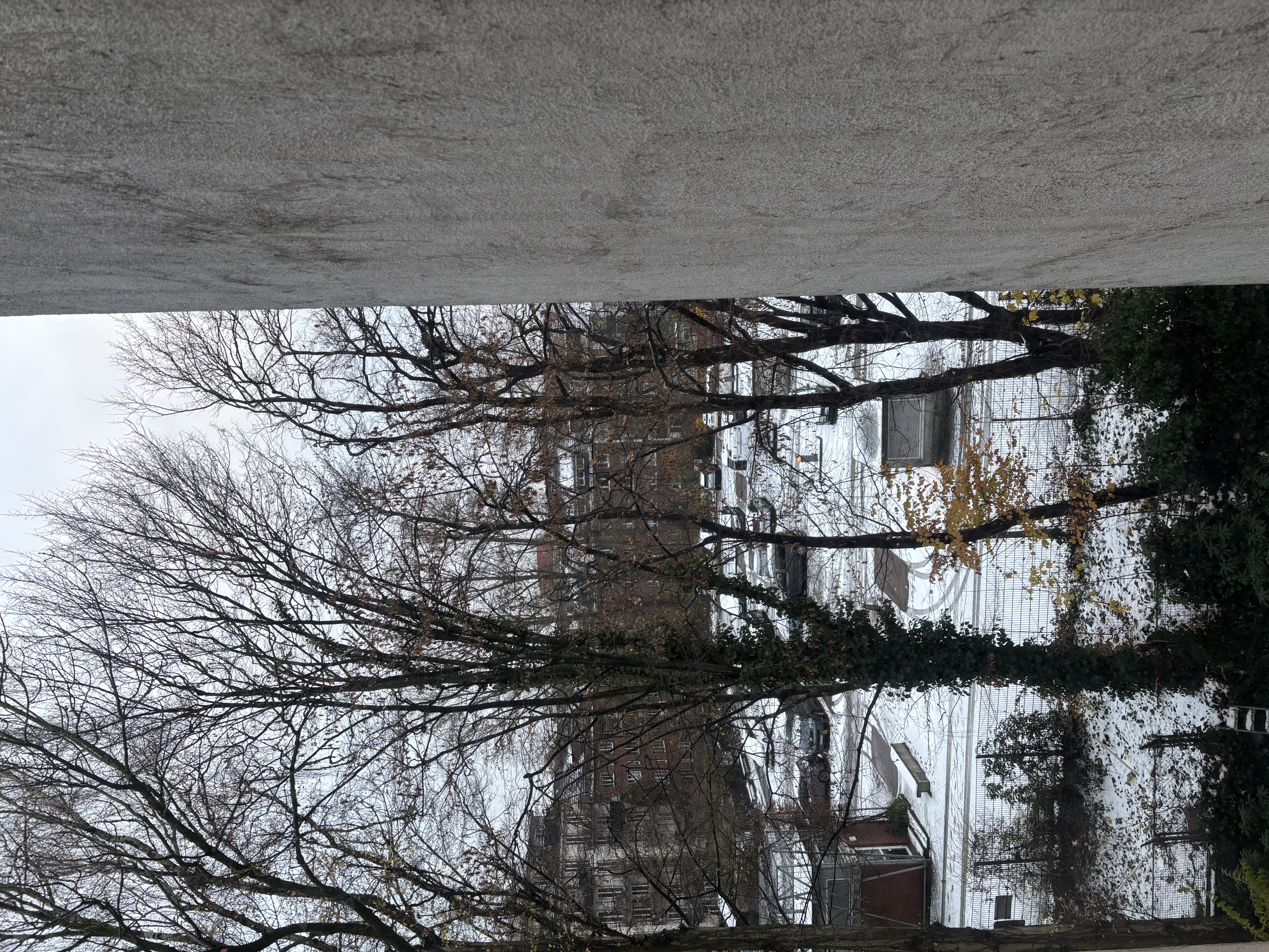 image-14