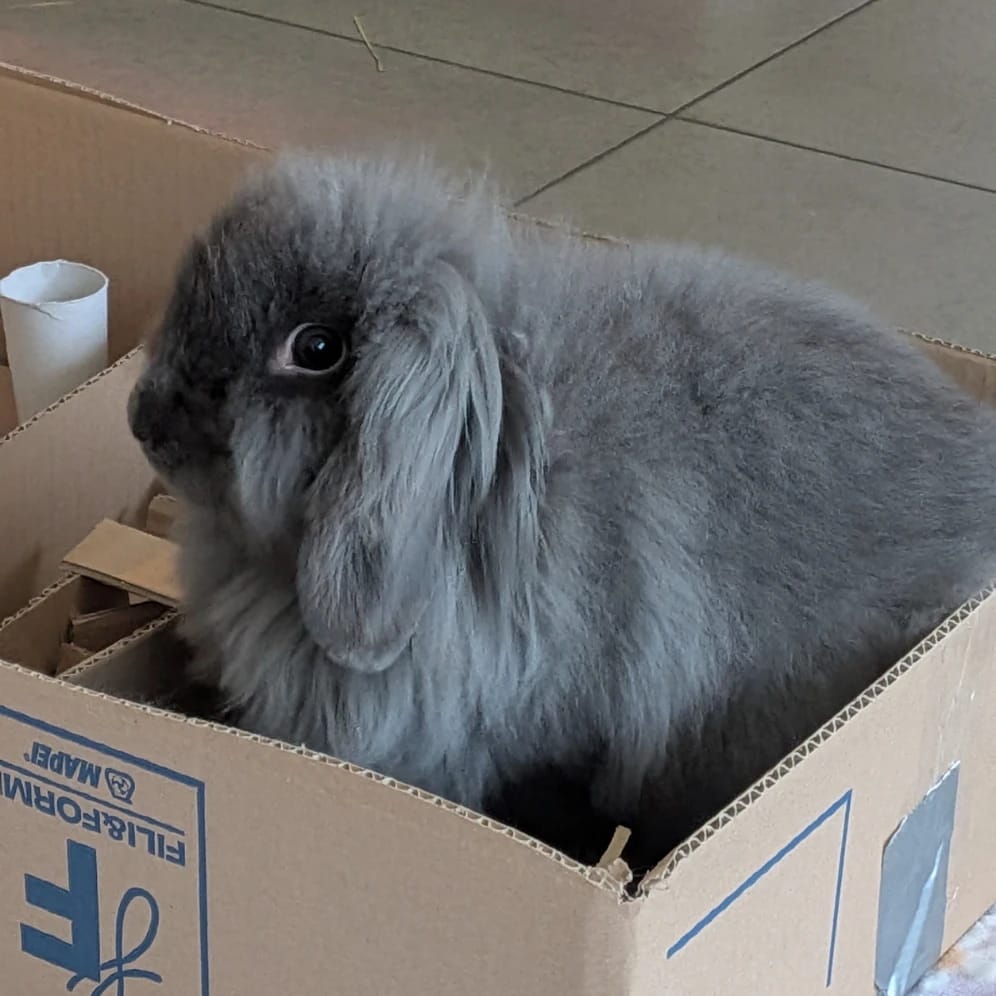 luna