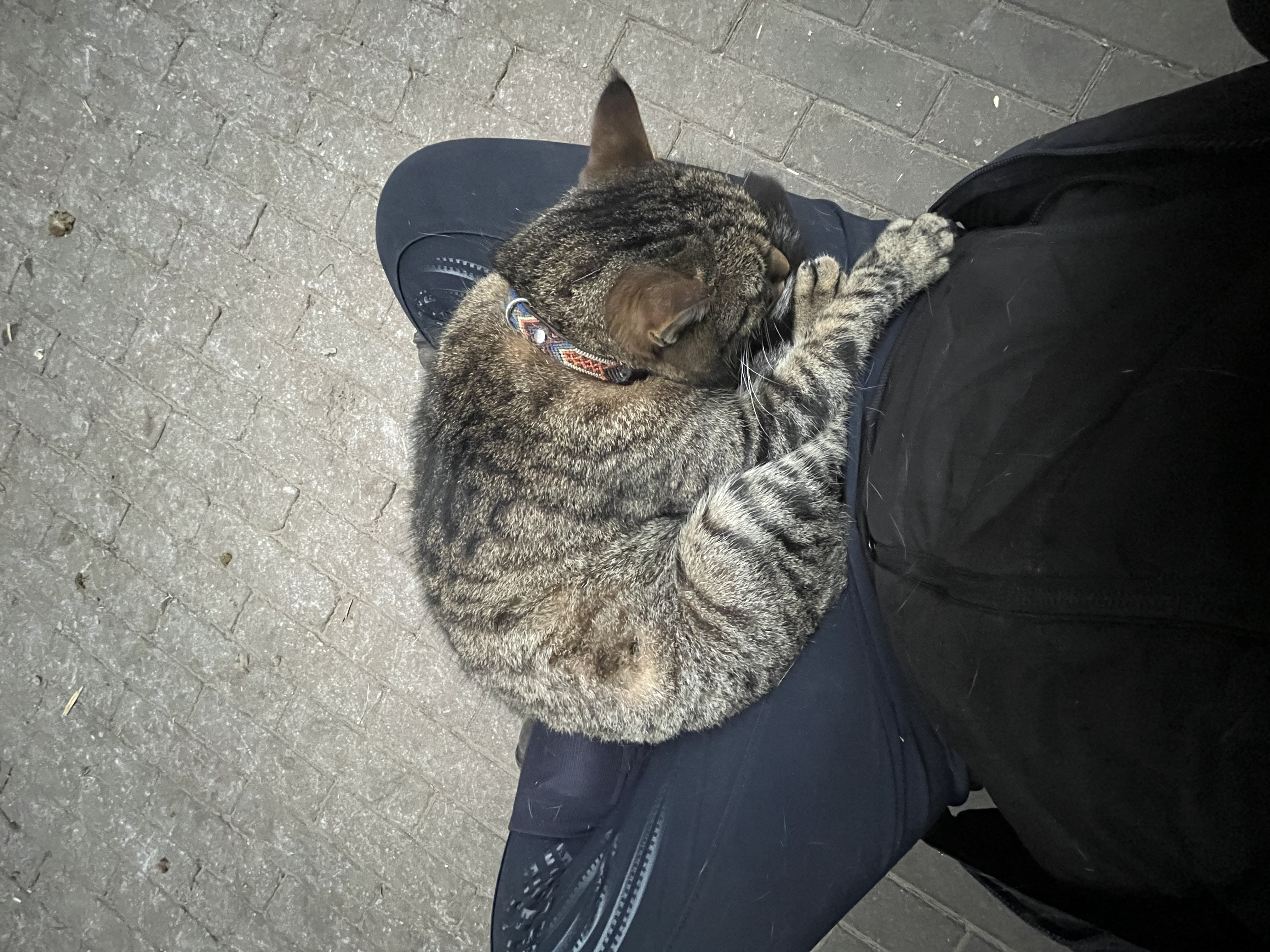 image-7