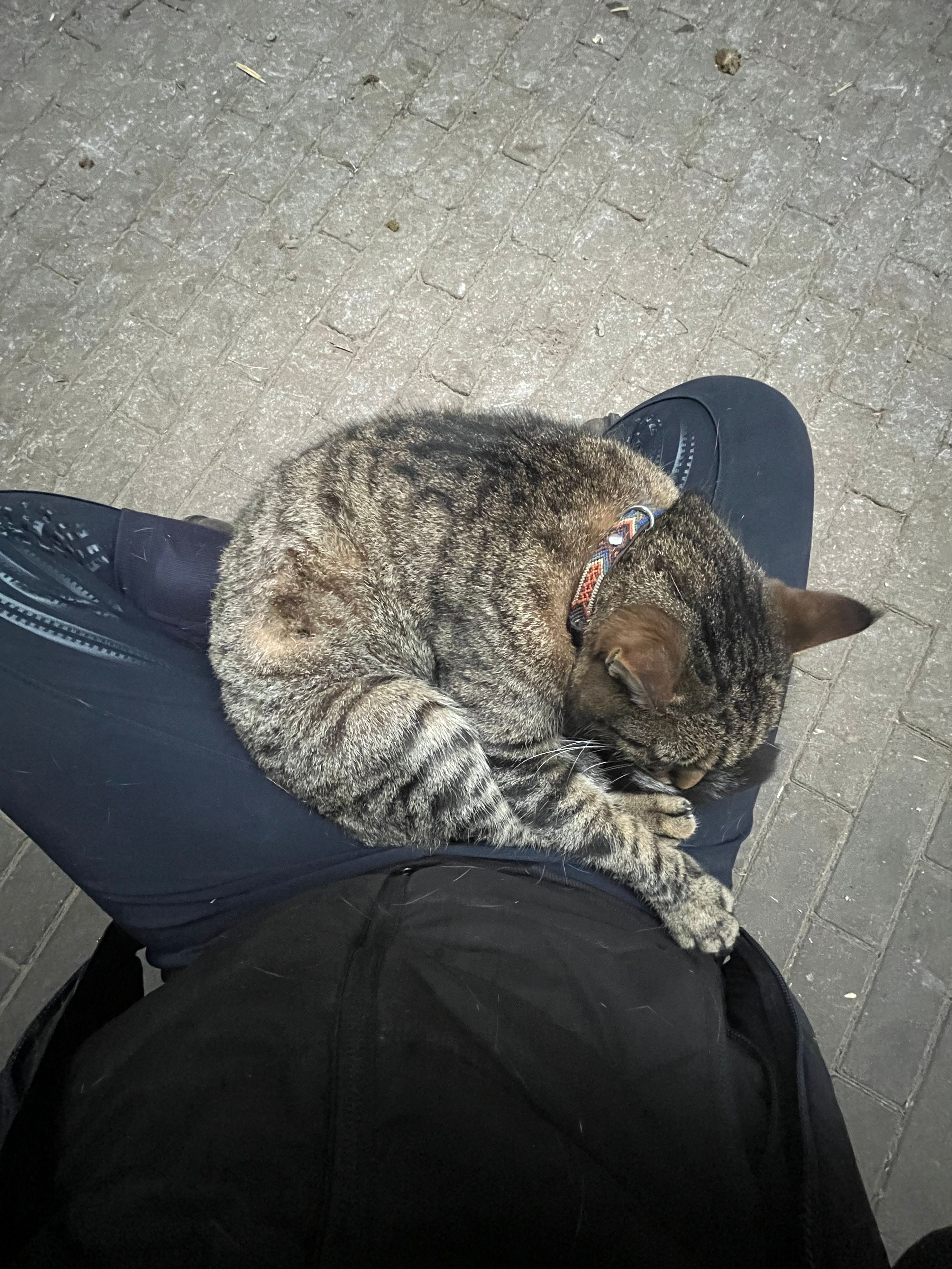 image-7