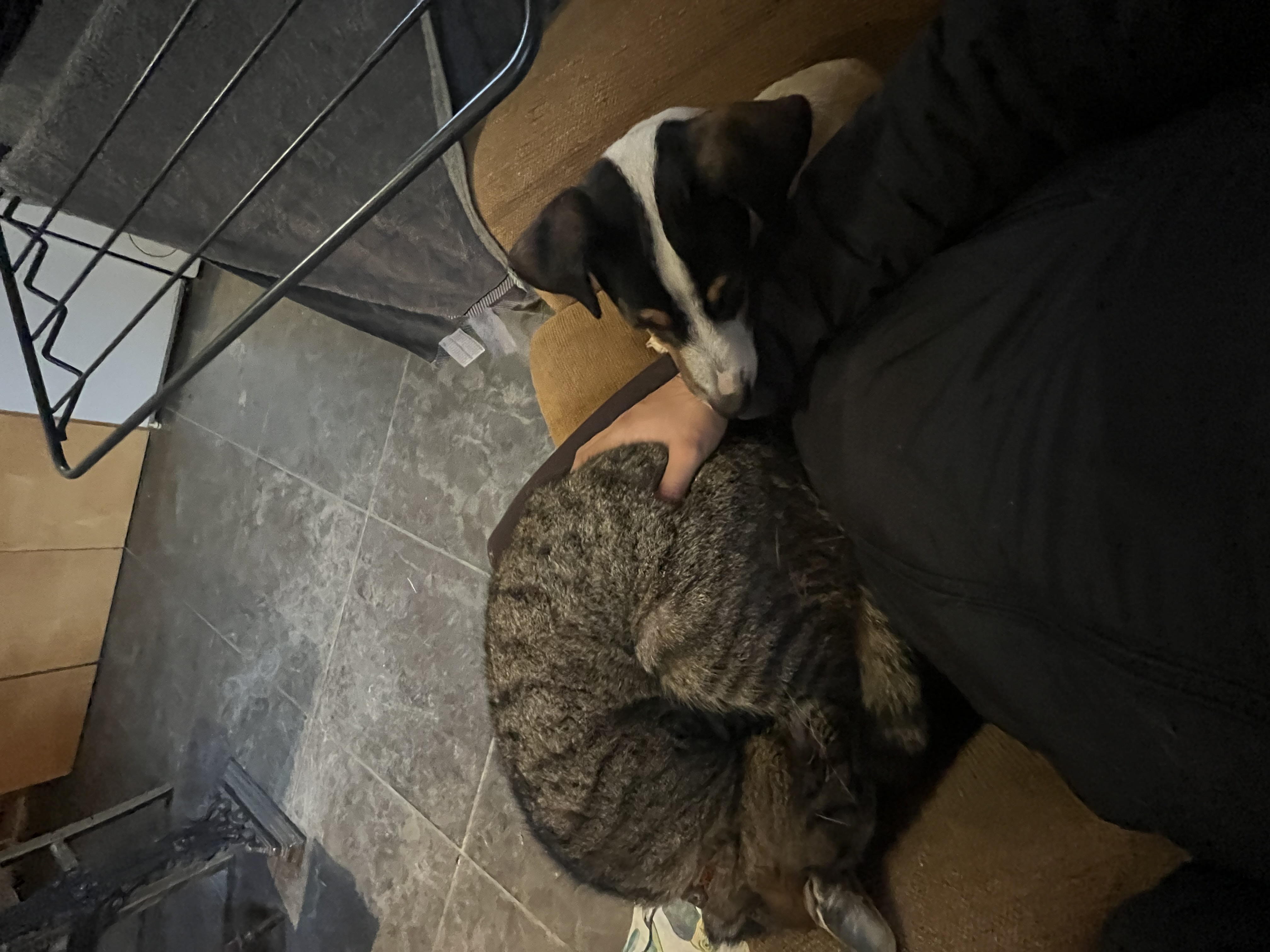 image-6