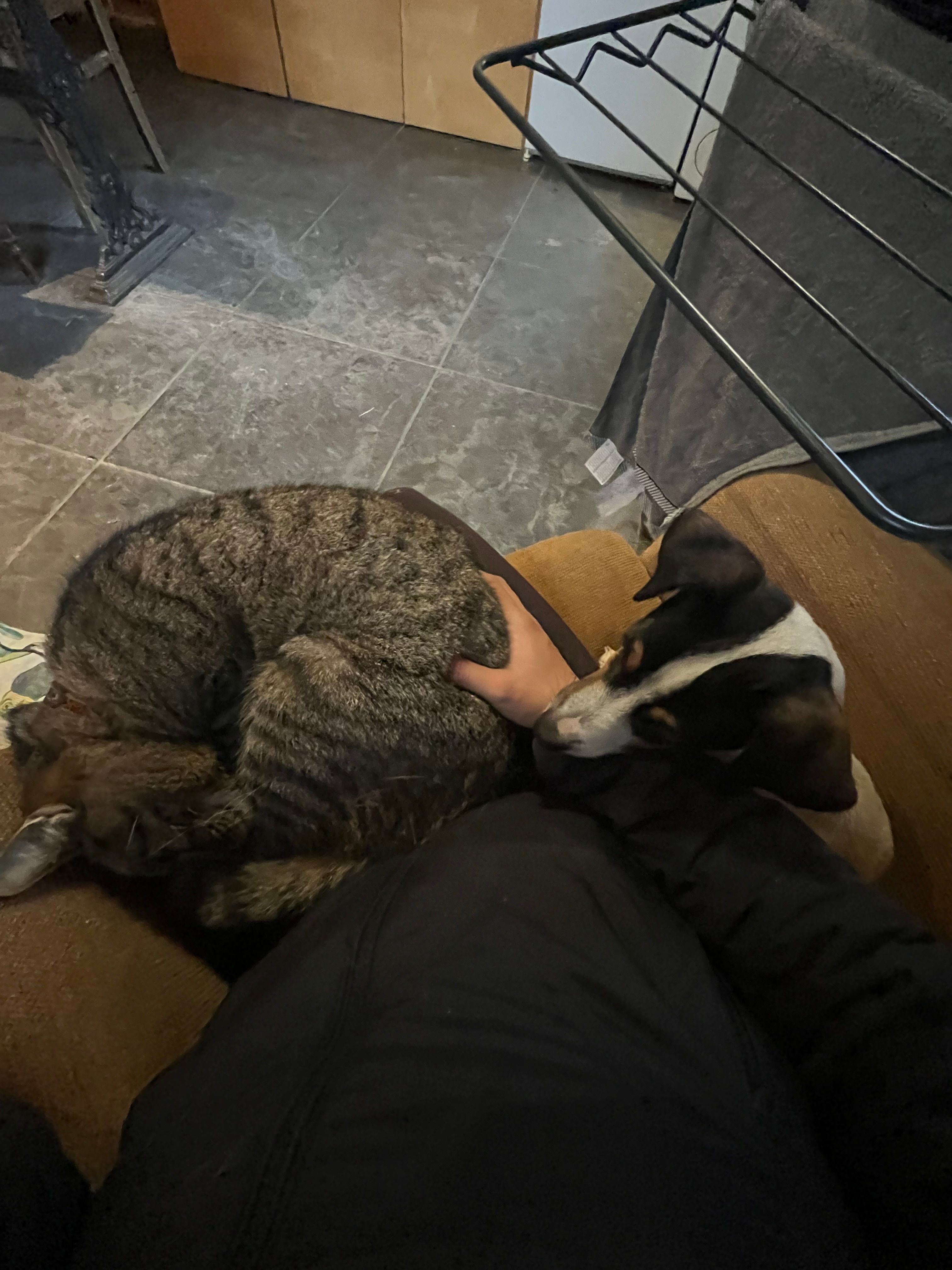 image-6