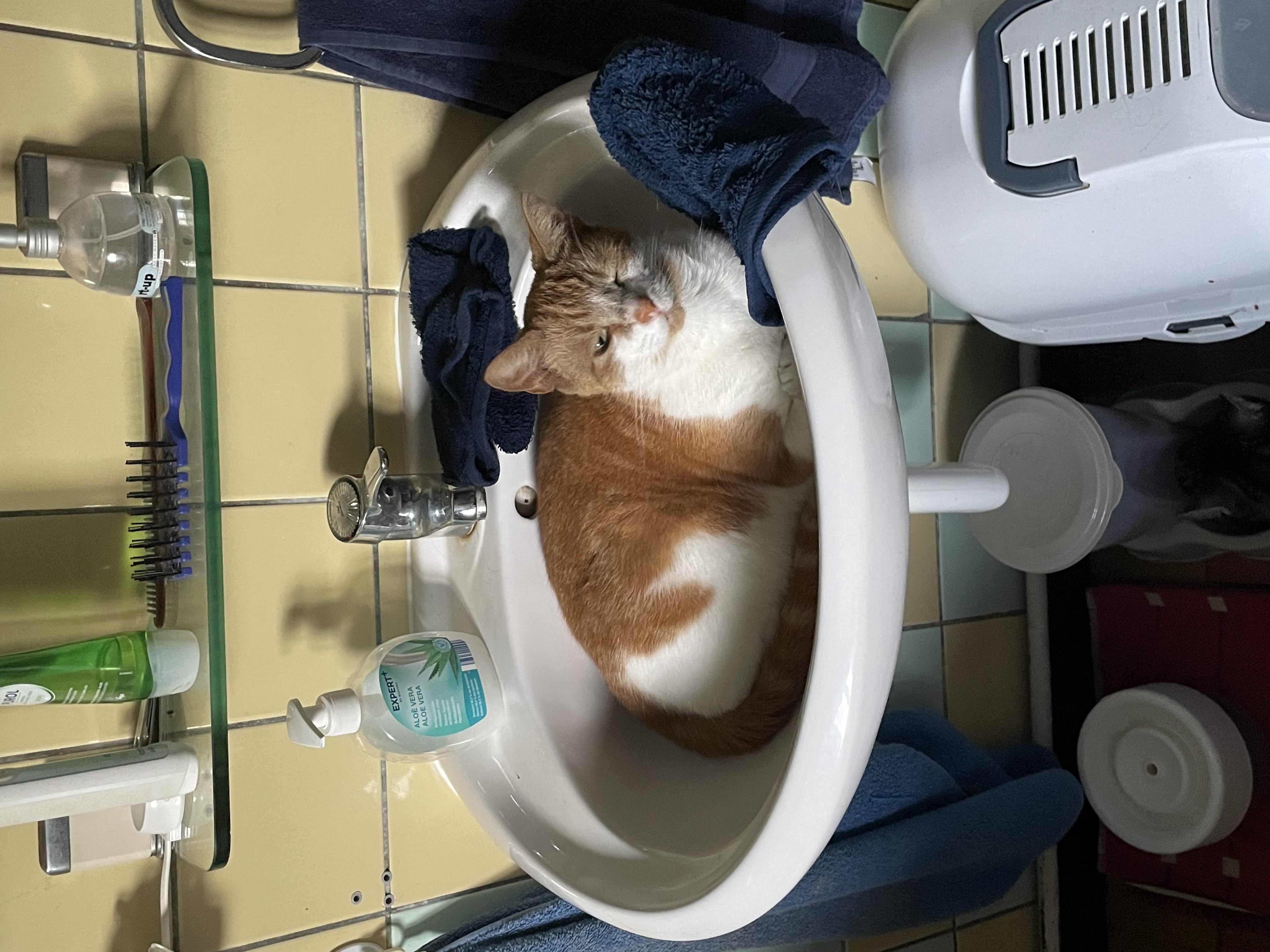 image-16