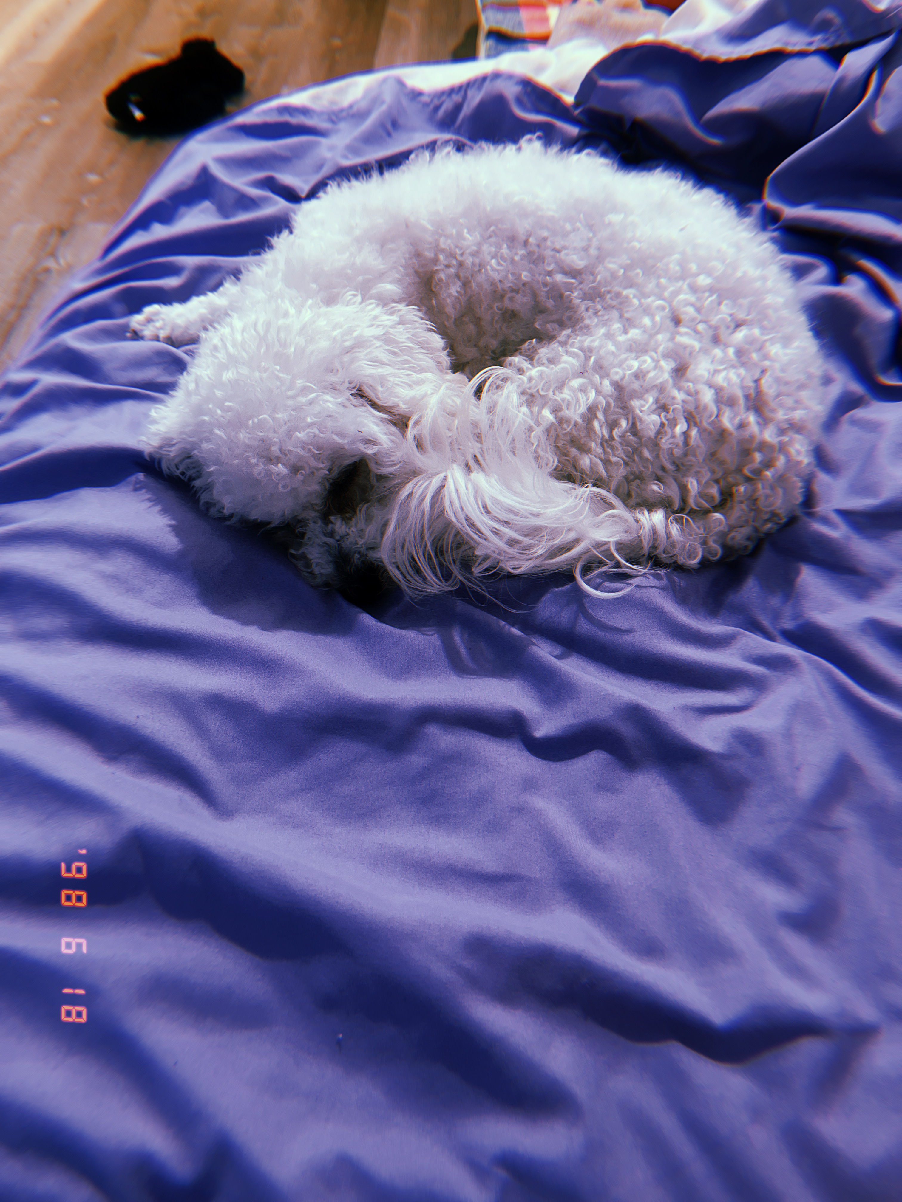 image-16