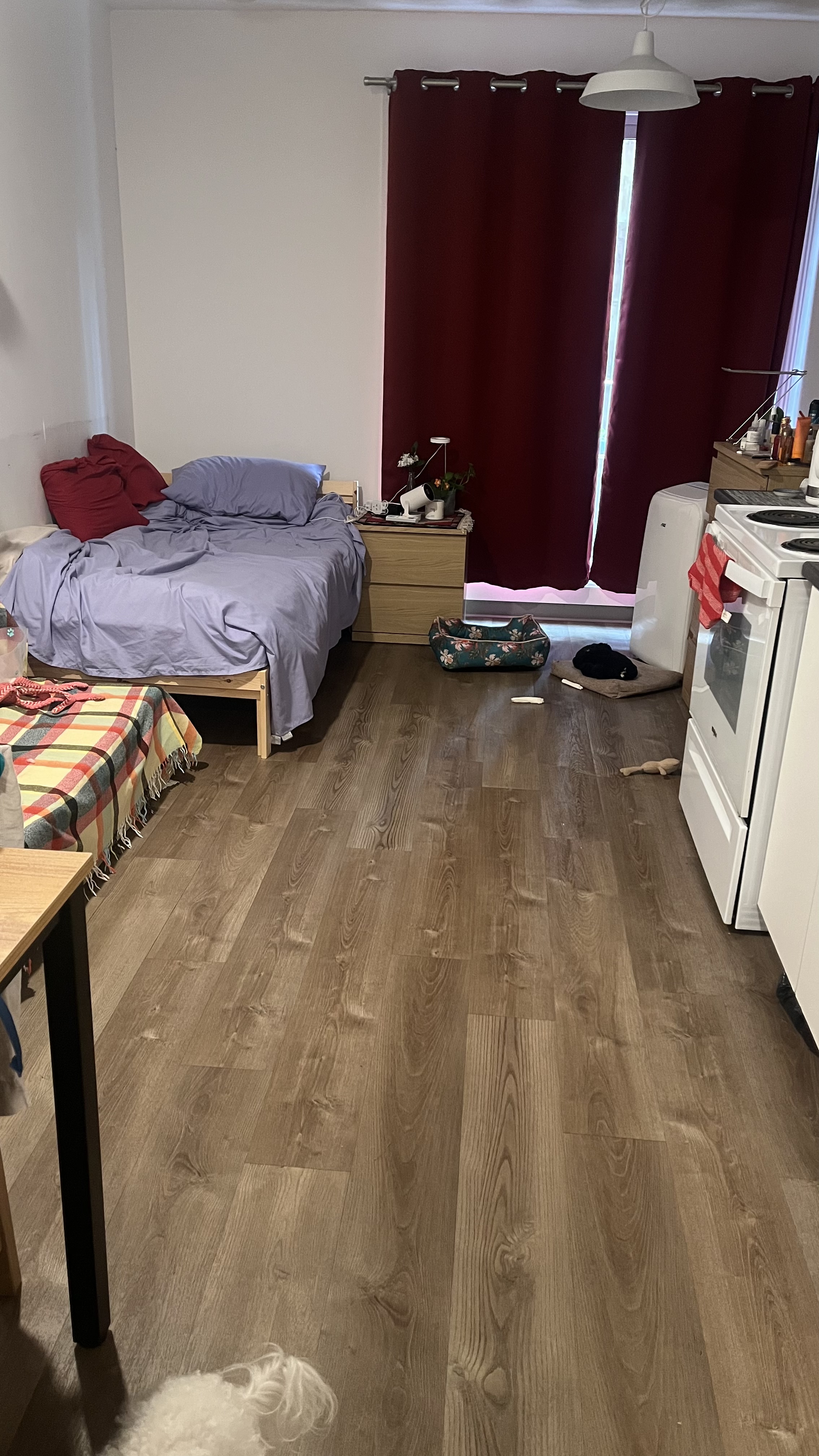 image-14