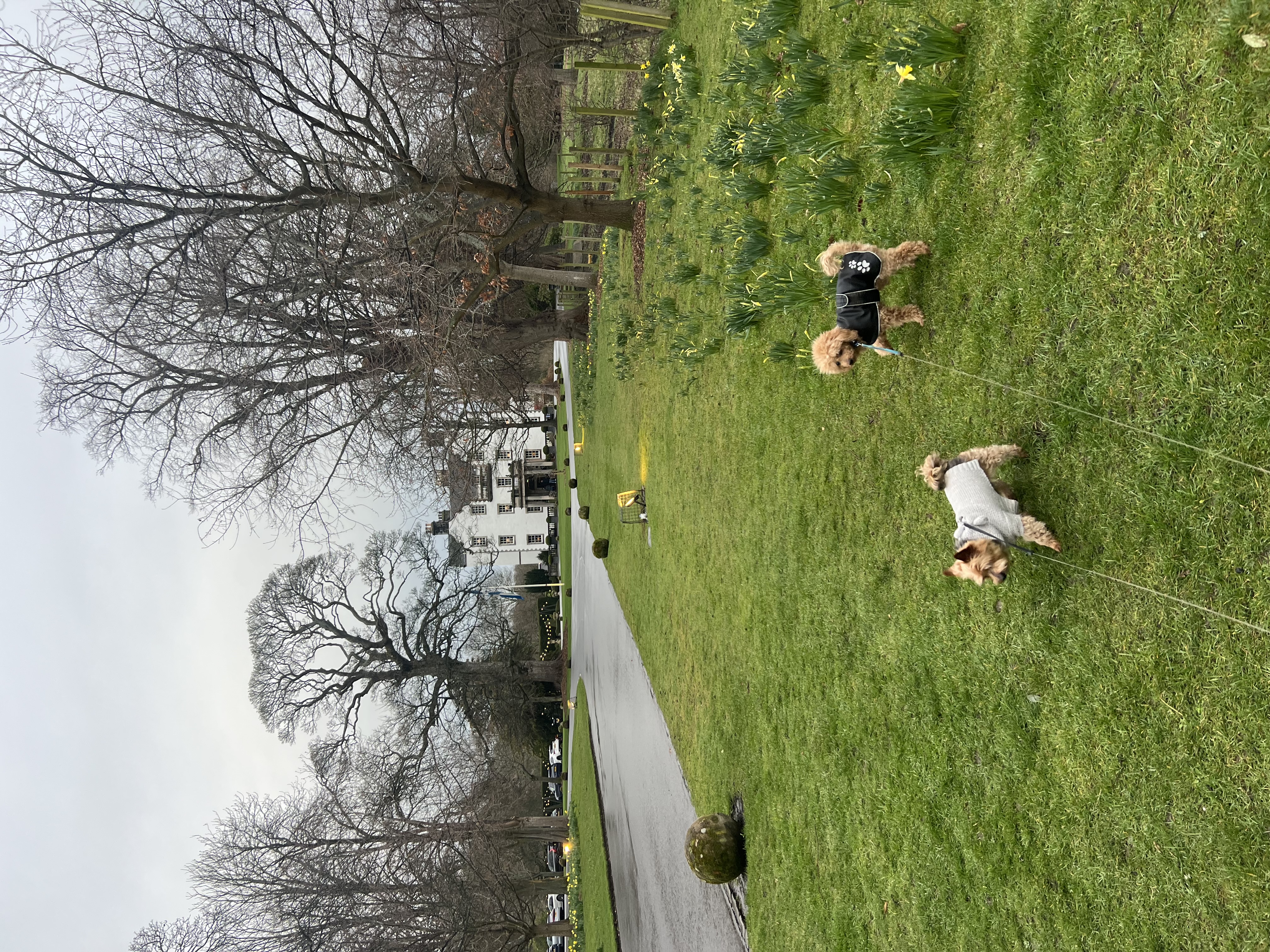 image-5