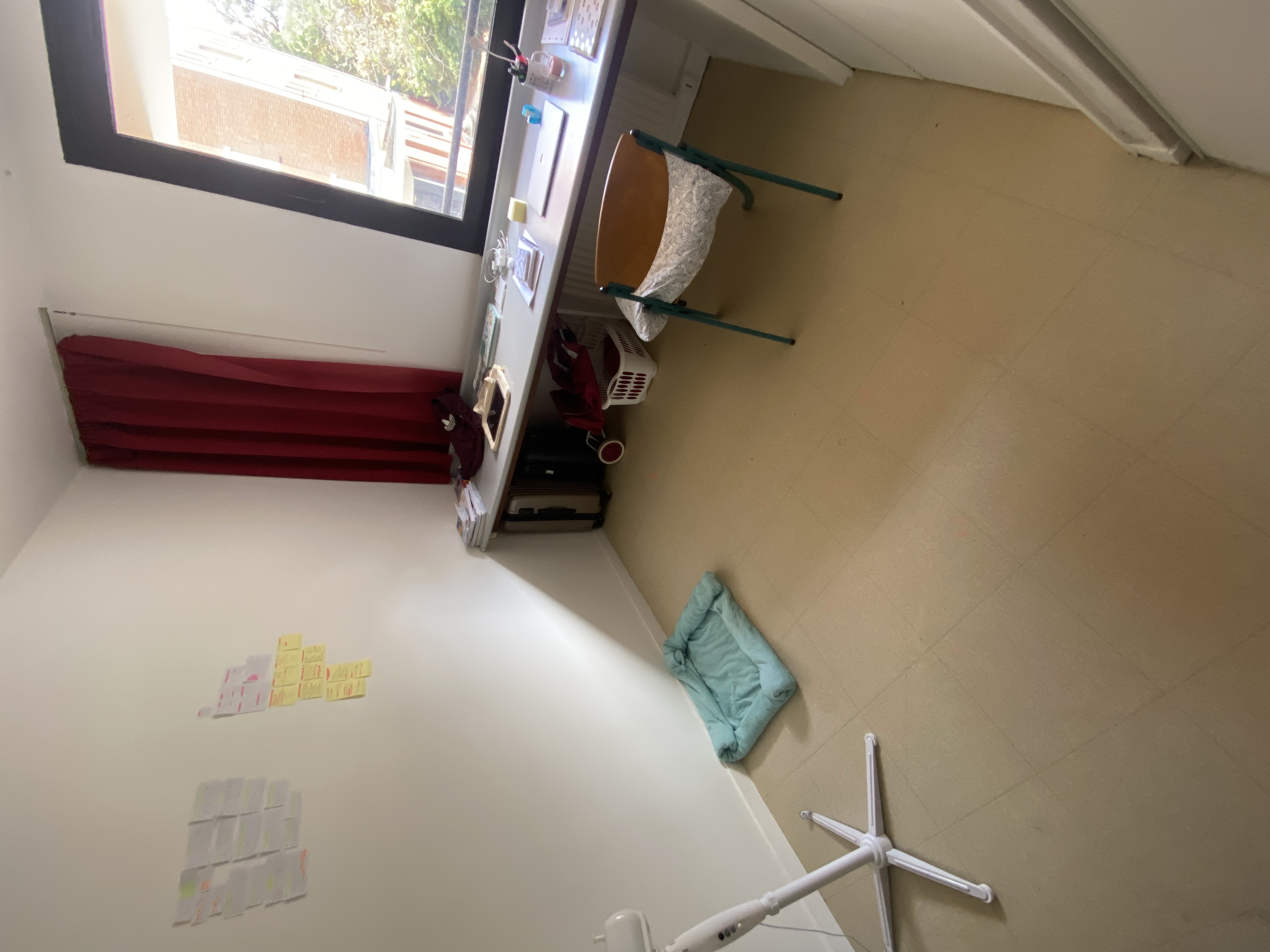 image-11