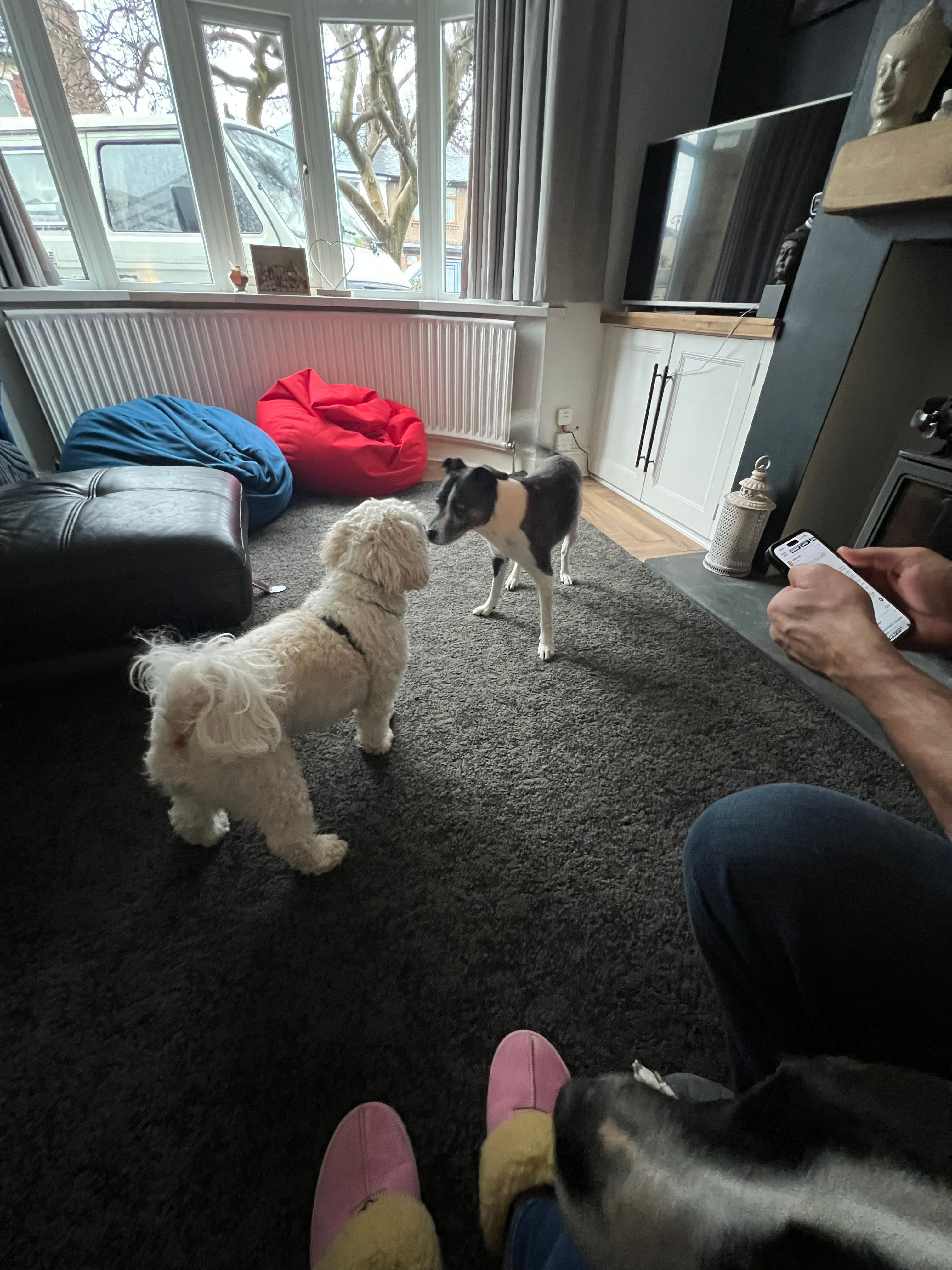 image-18