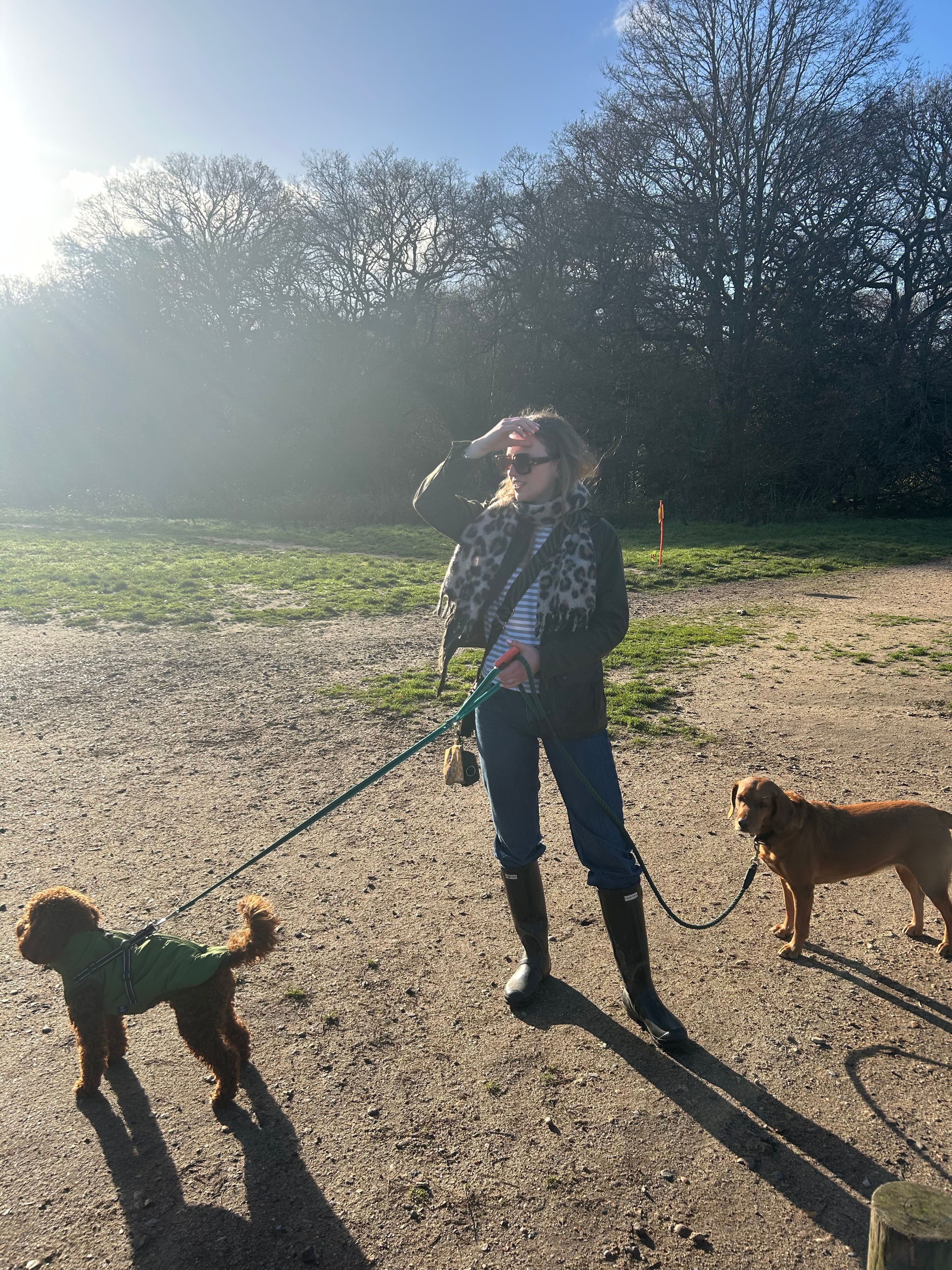 image-8