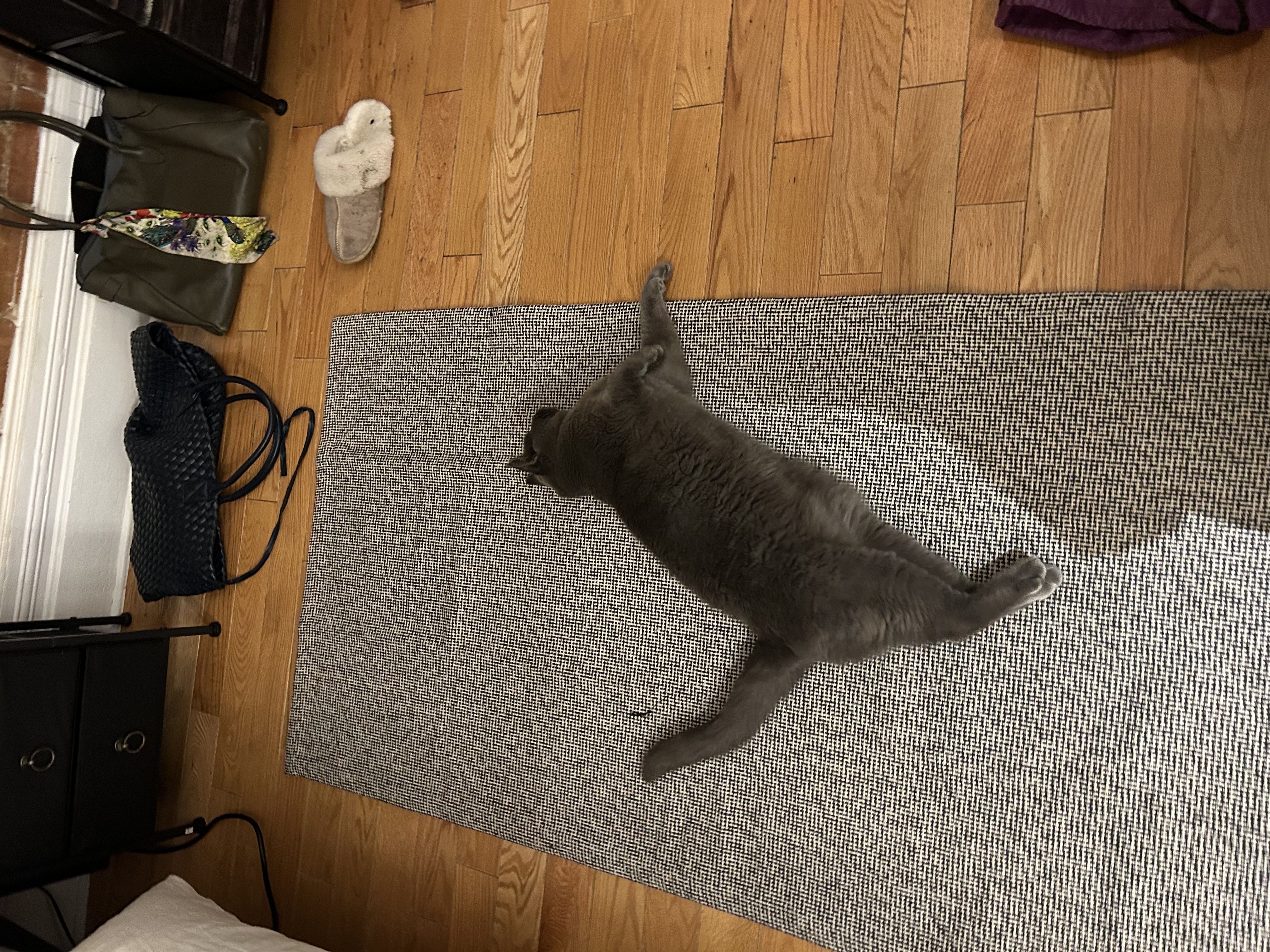 image-13