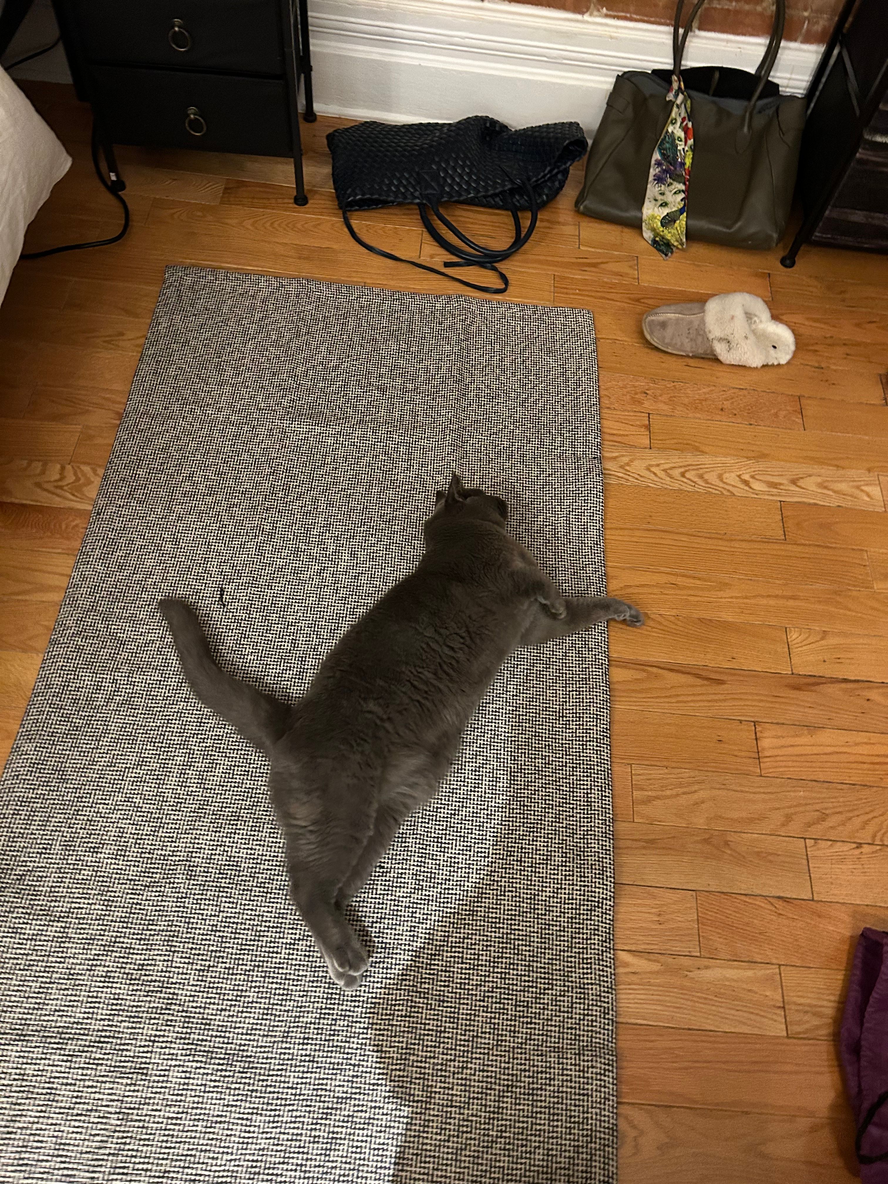 image-13