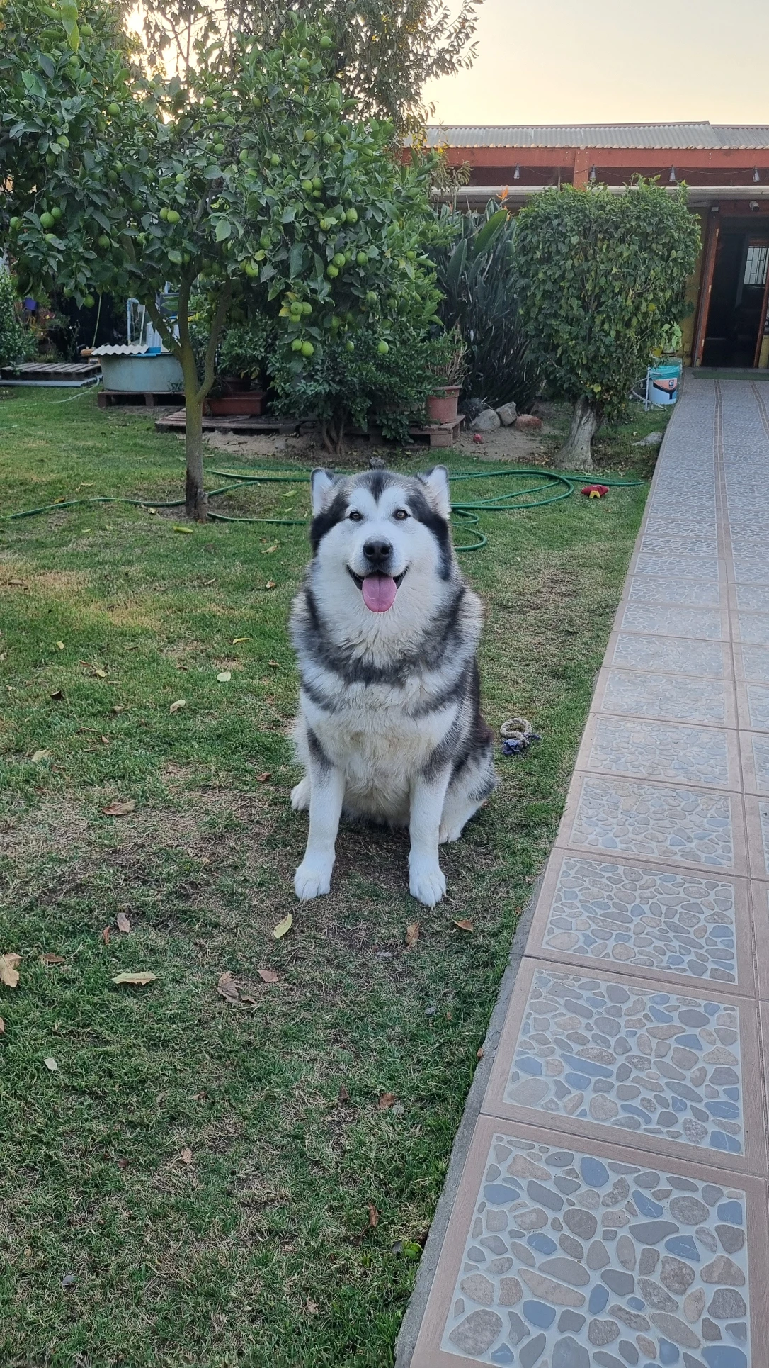 image-17