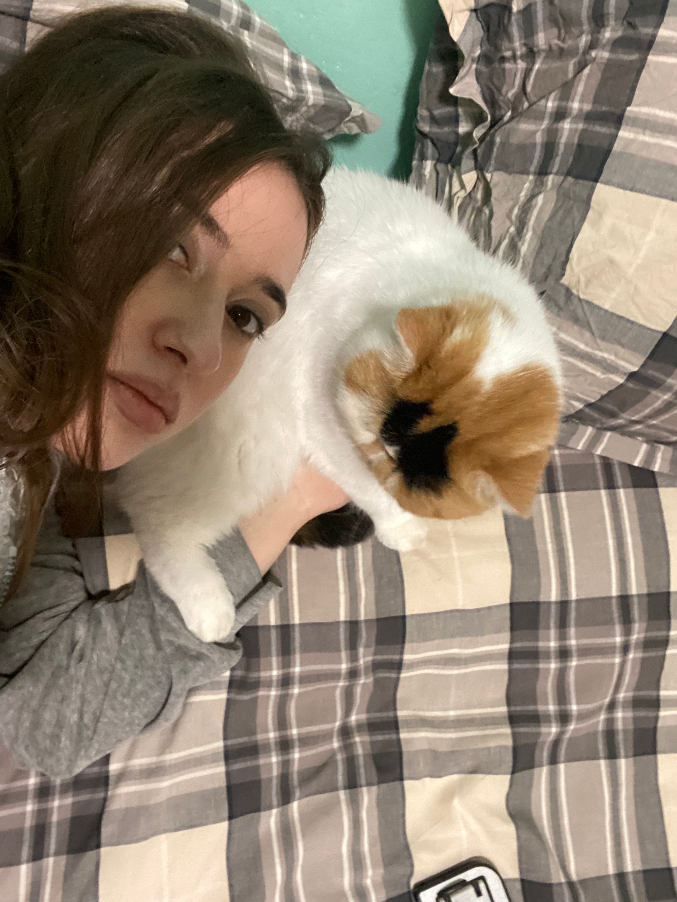 image-9