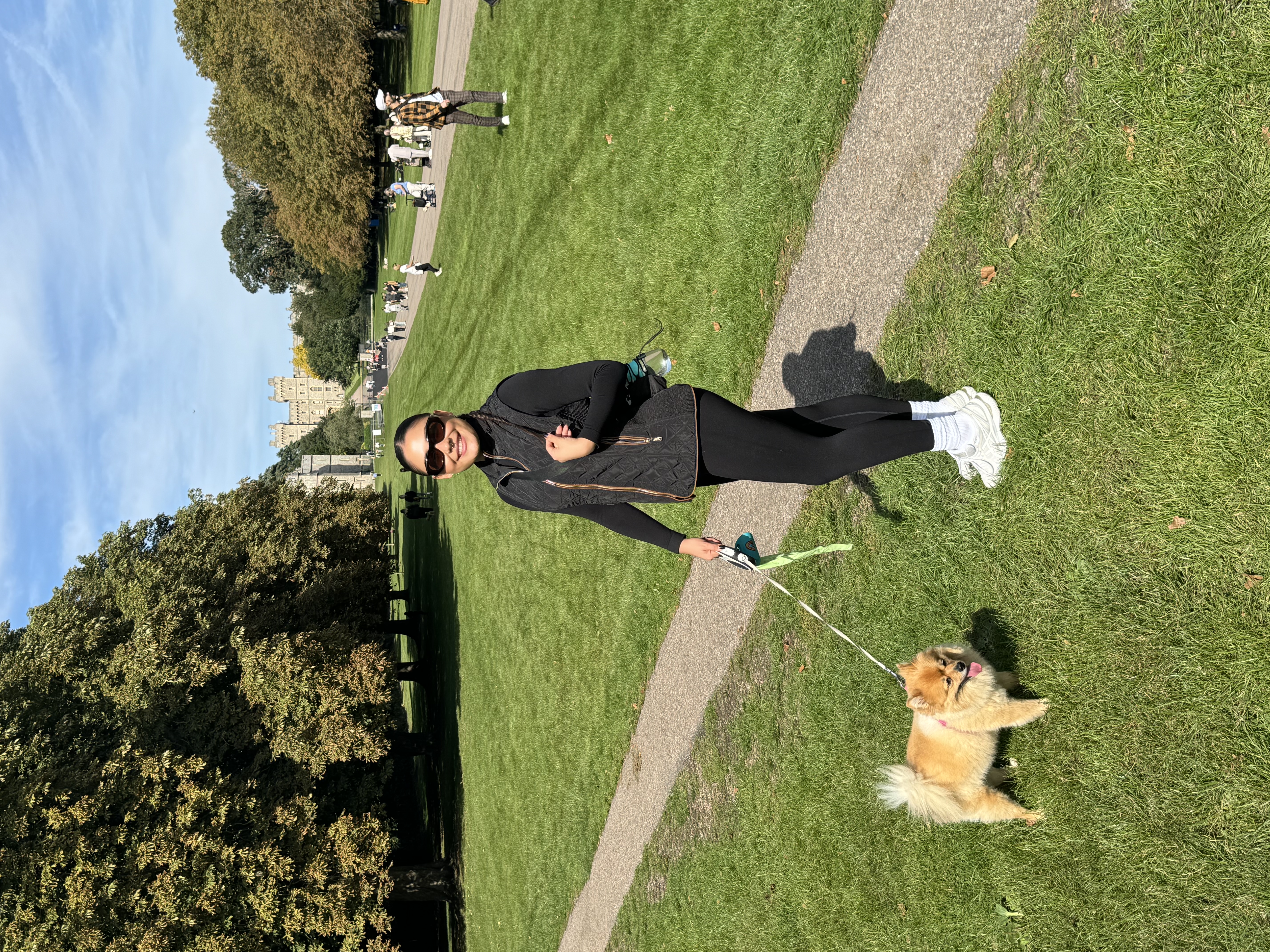 image-12