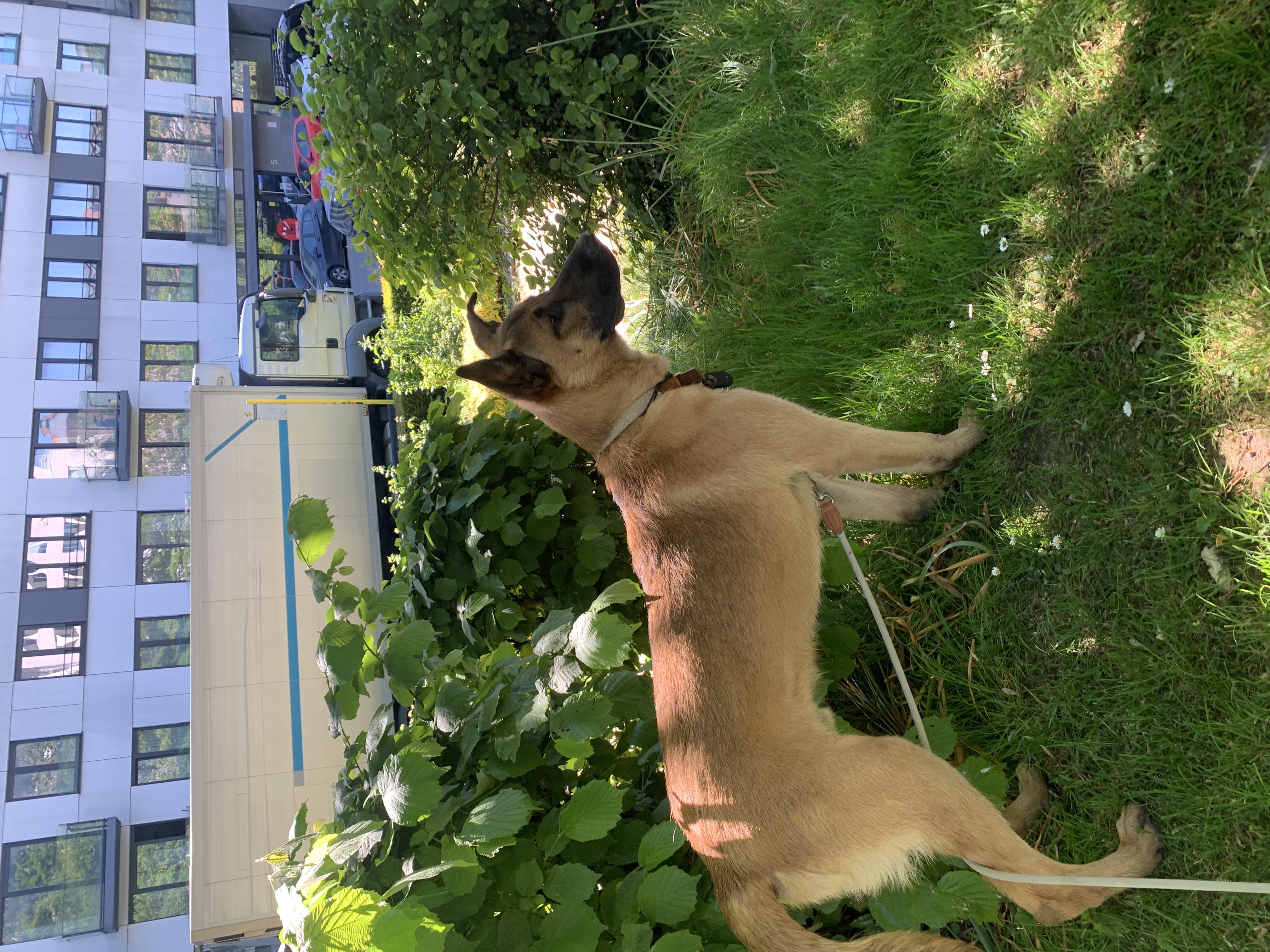 image-15