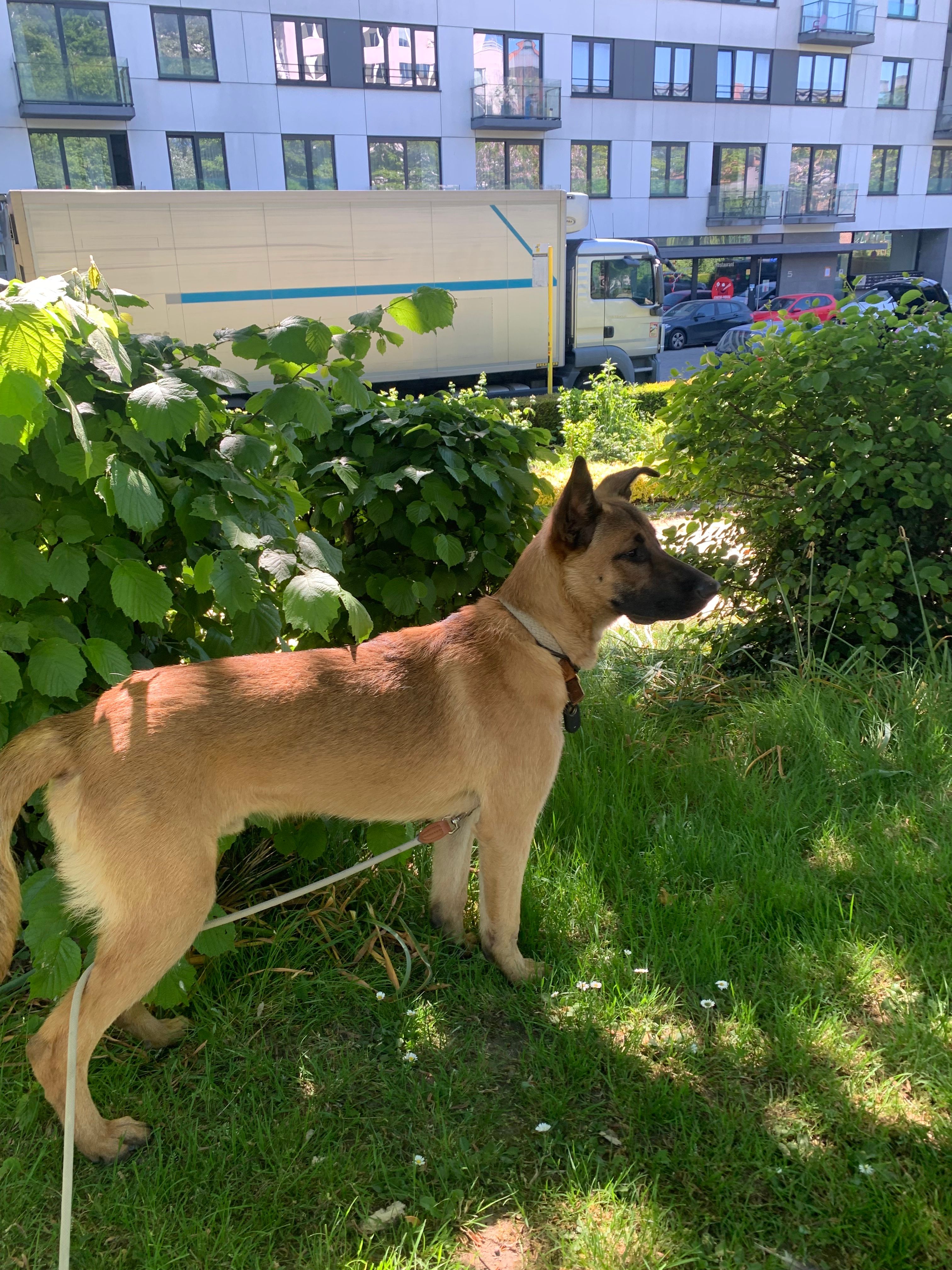 image-15