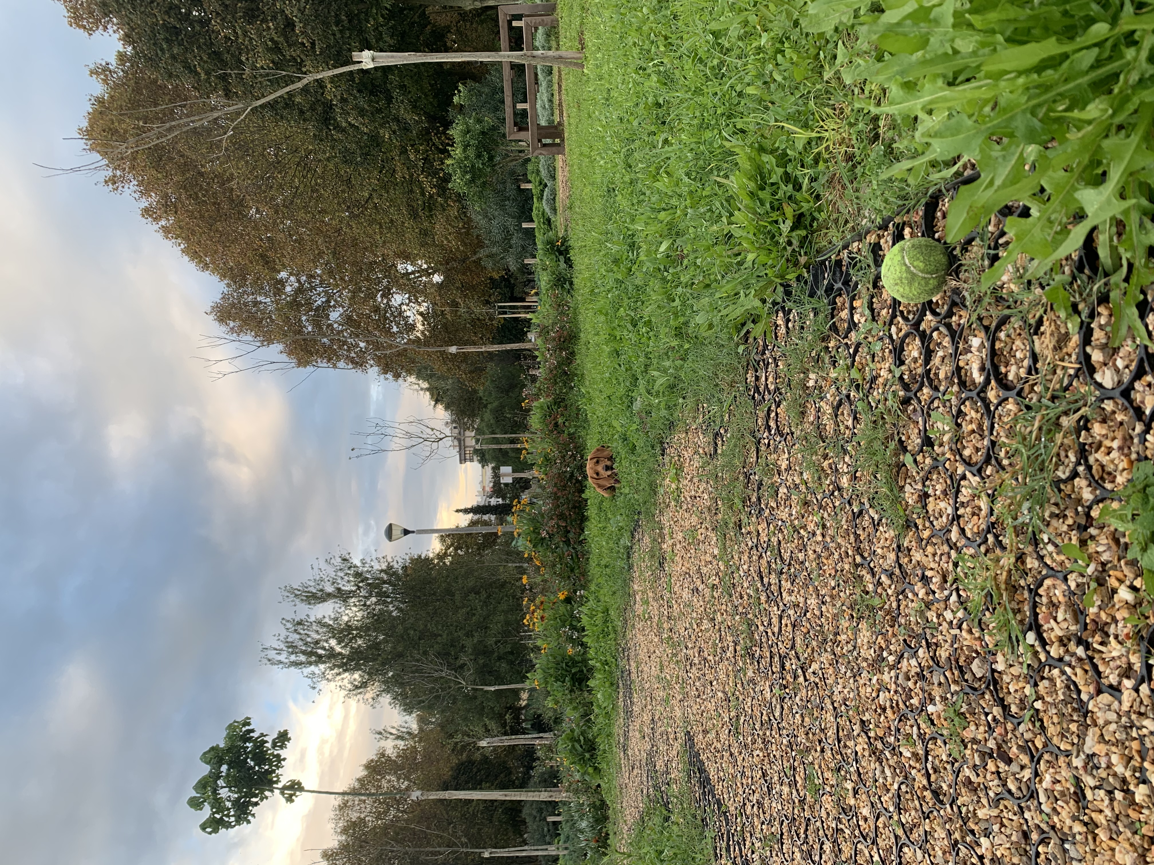 image-5