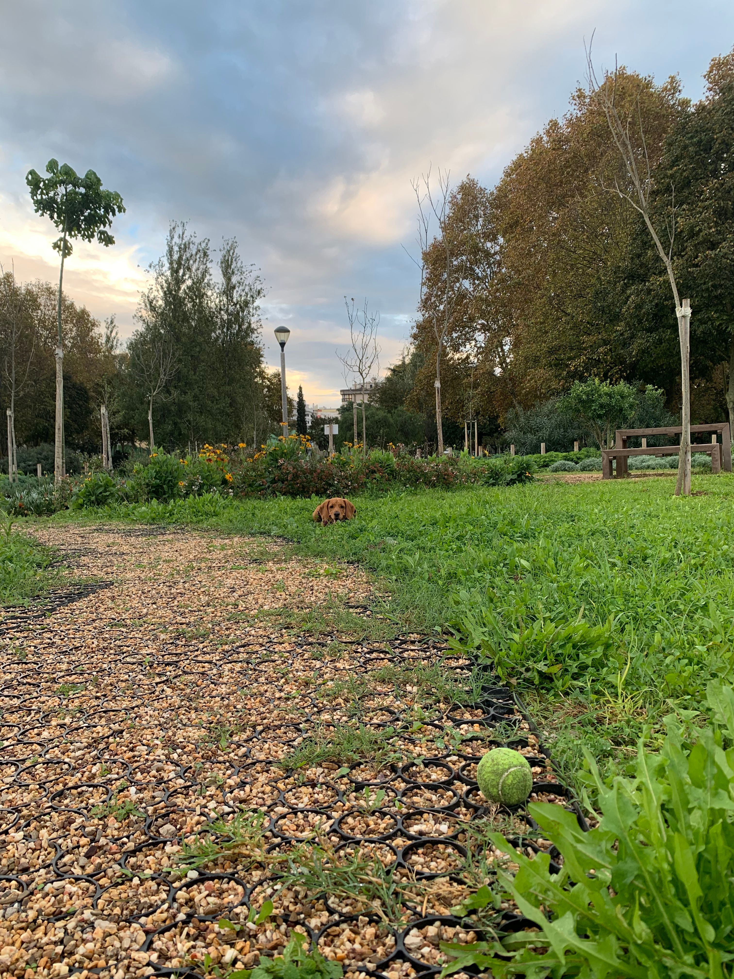 image-5