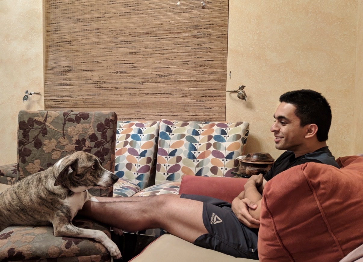 image-7