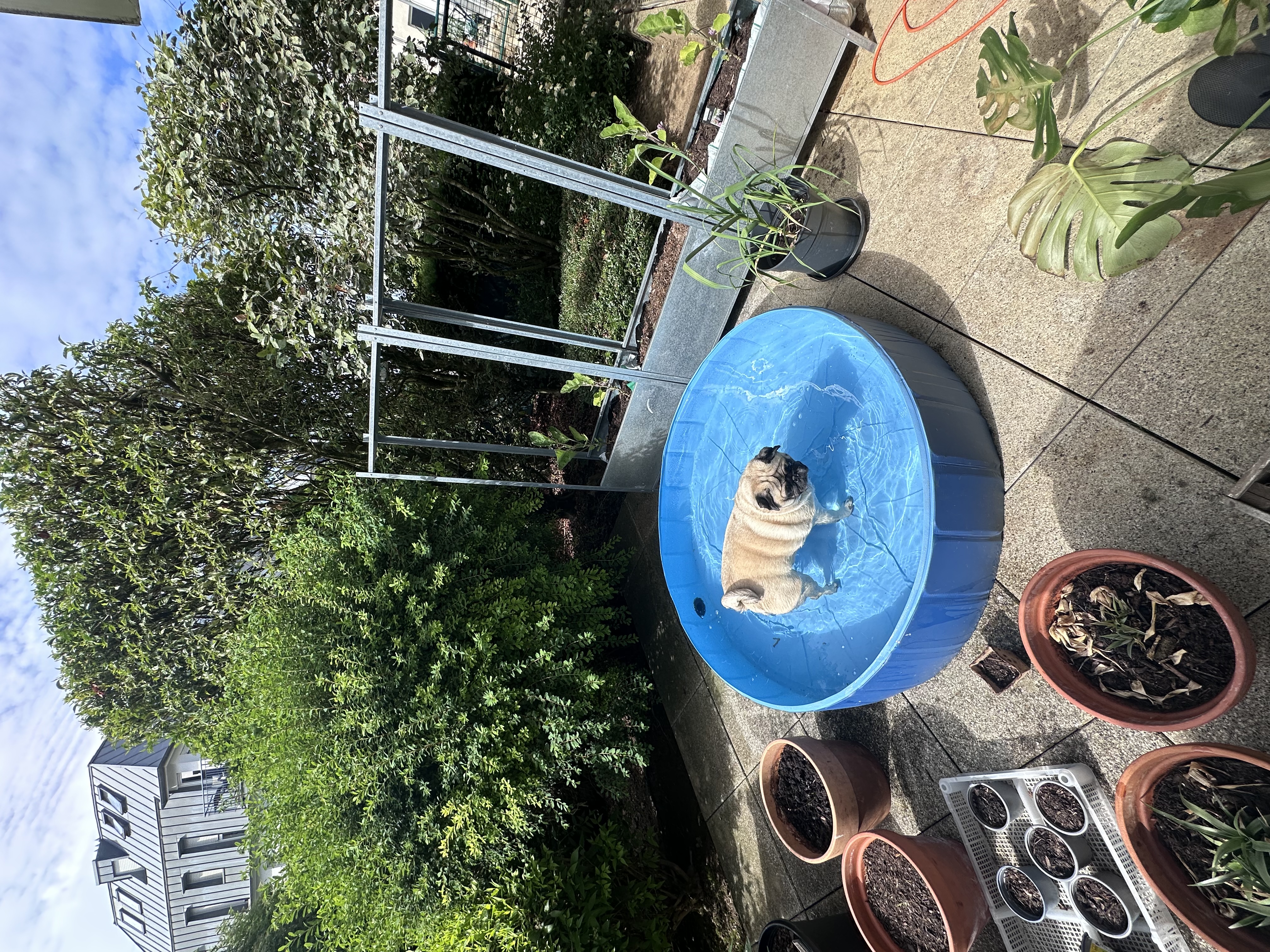 image-17