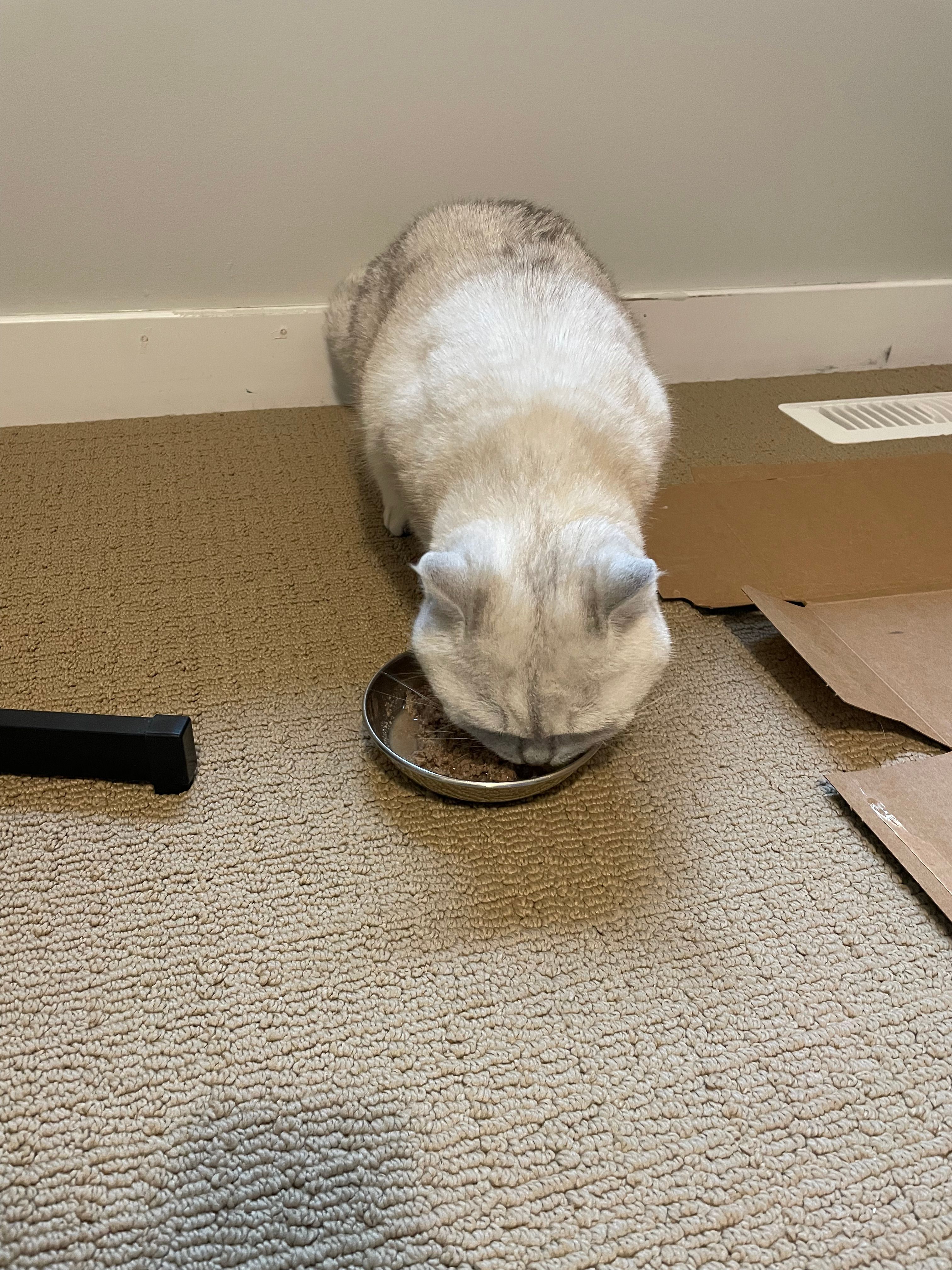image-7