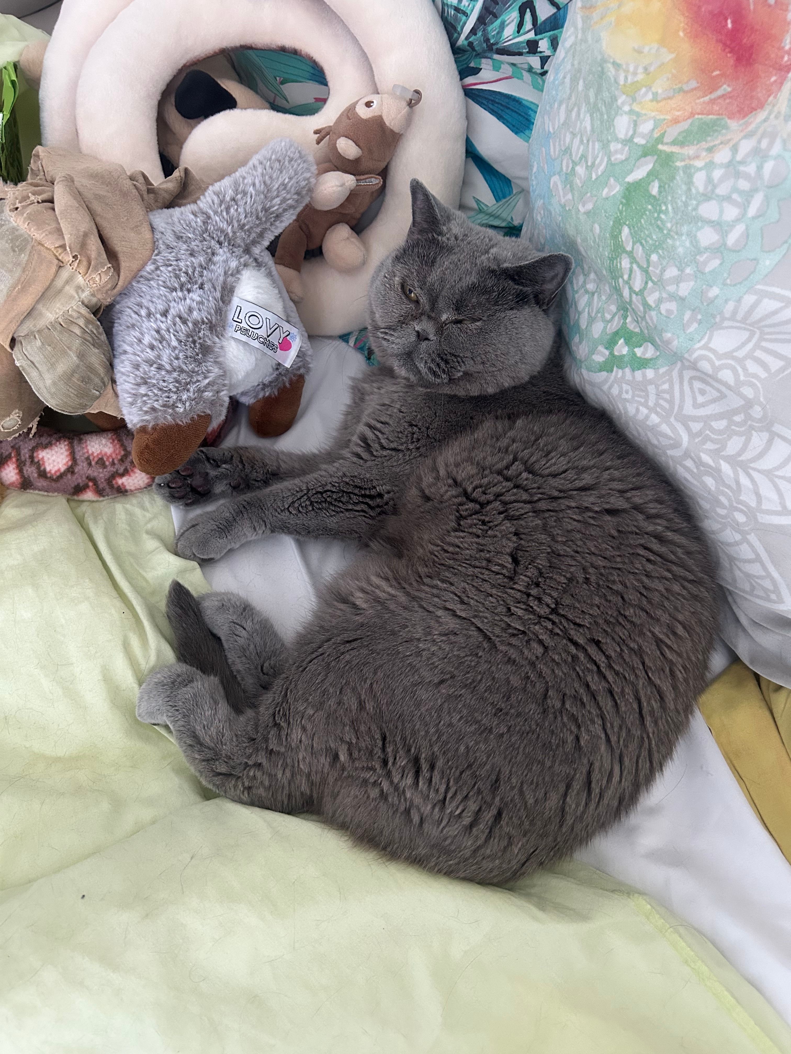 image-11