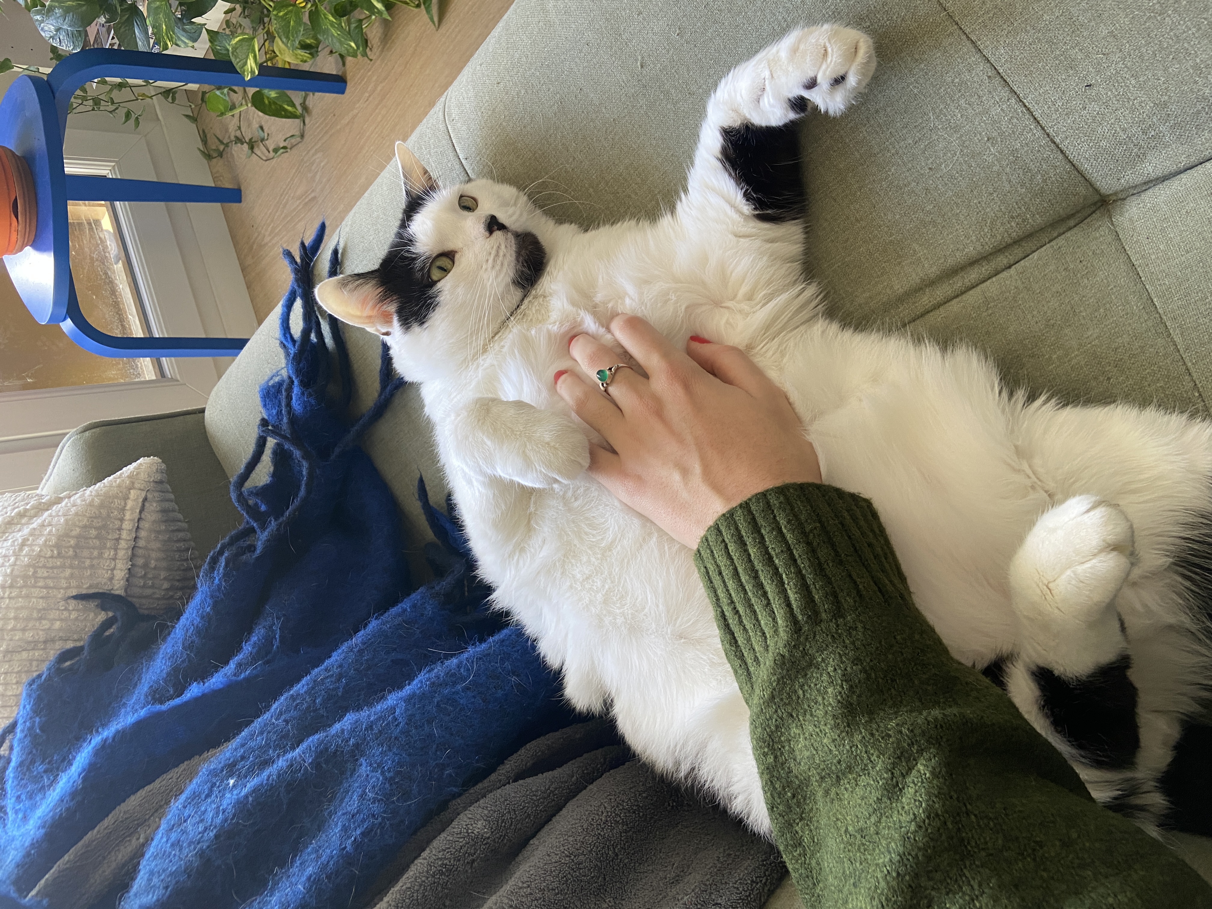 image-6