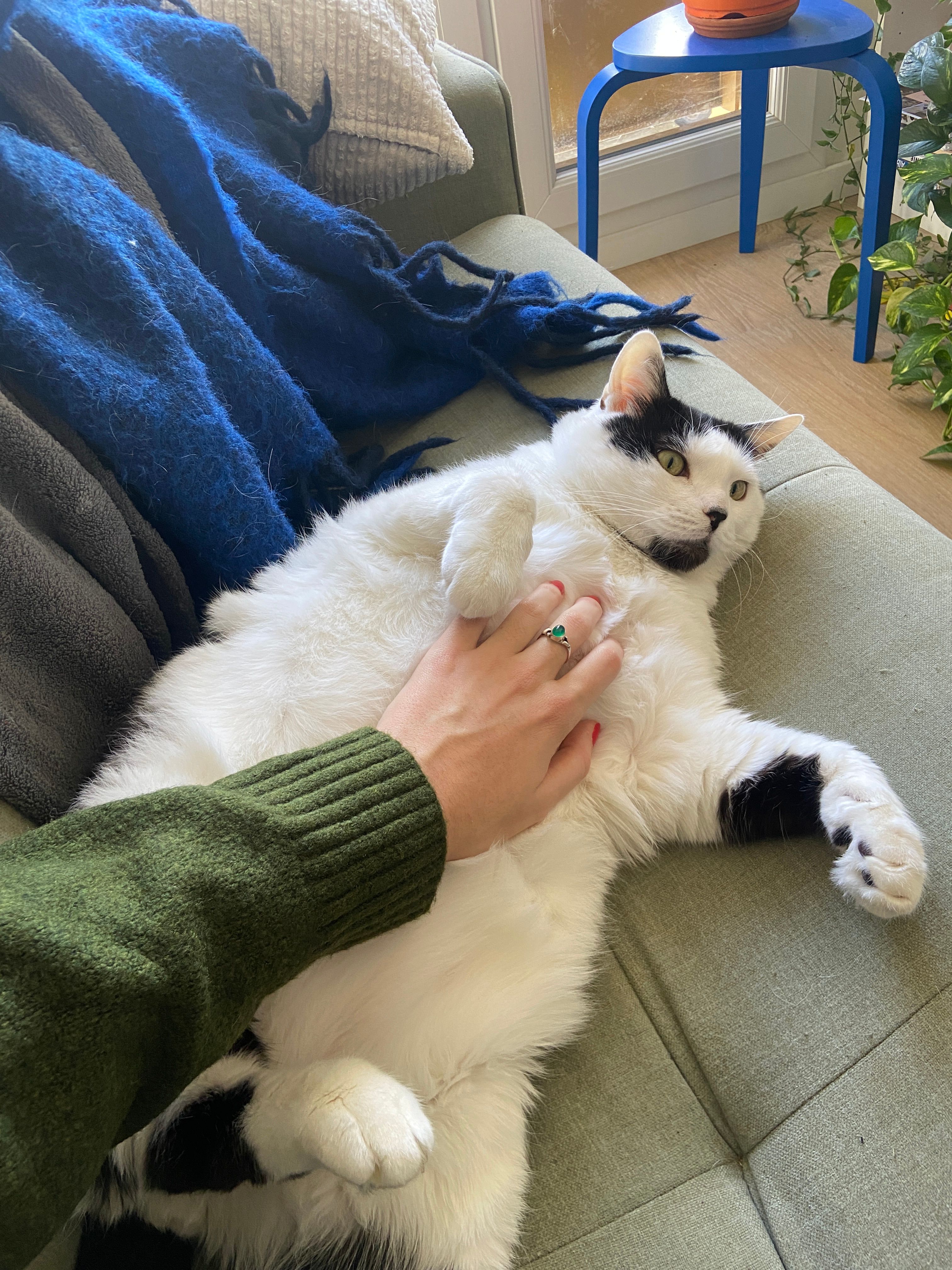 image-6