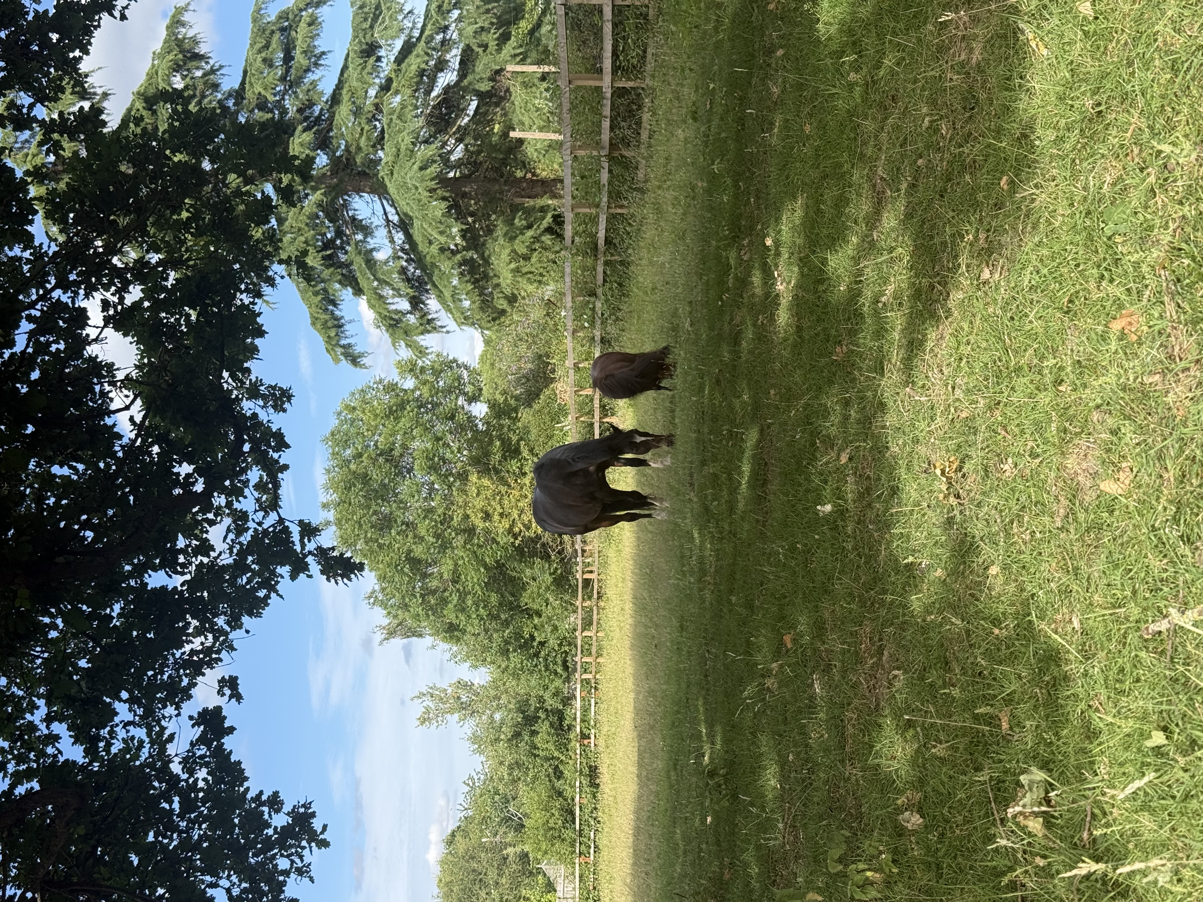 image-14
