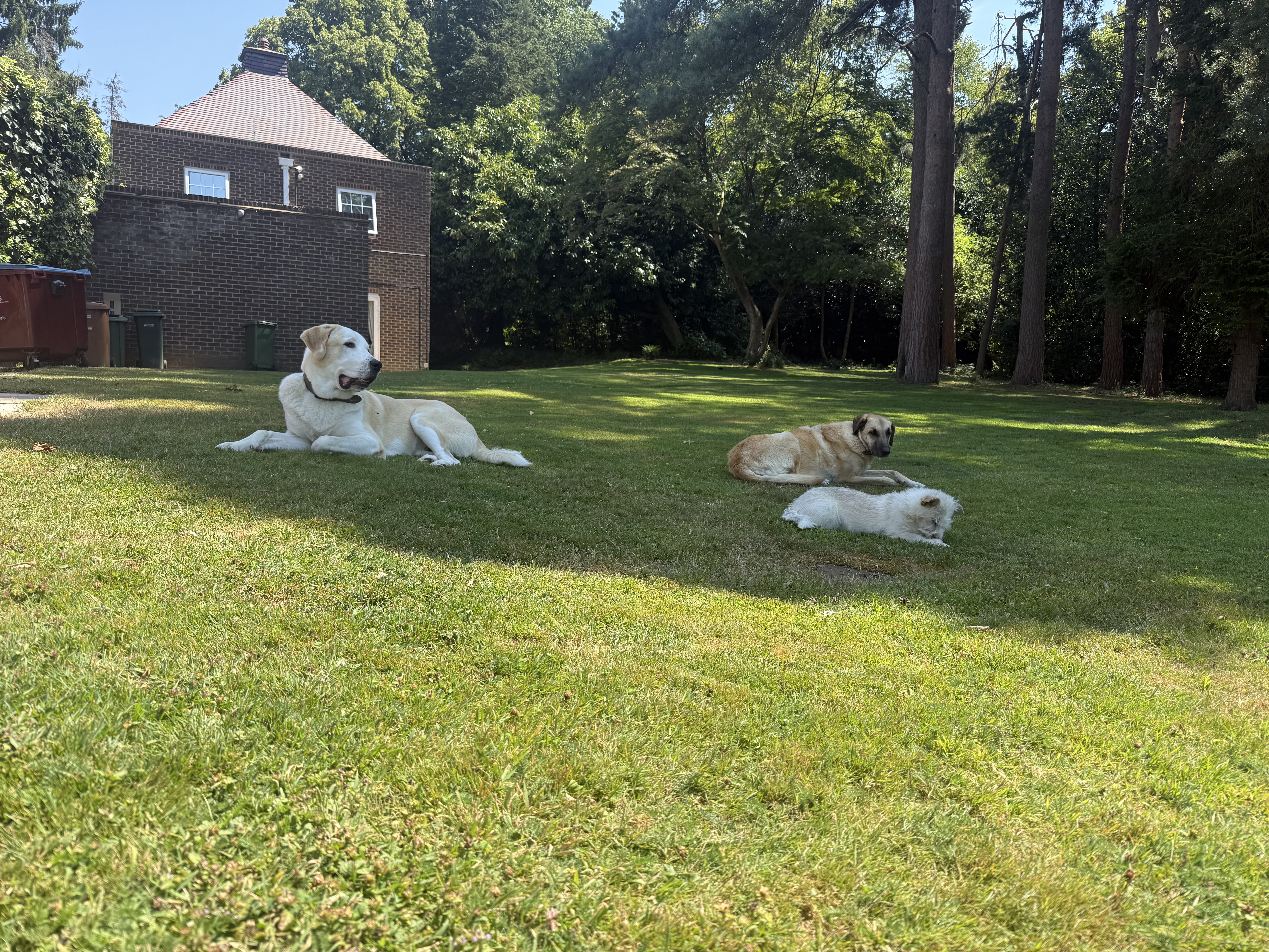 image-6