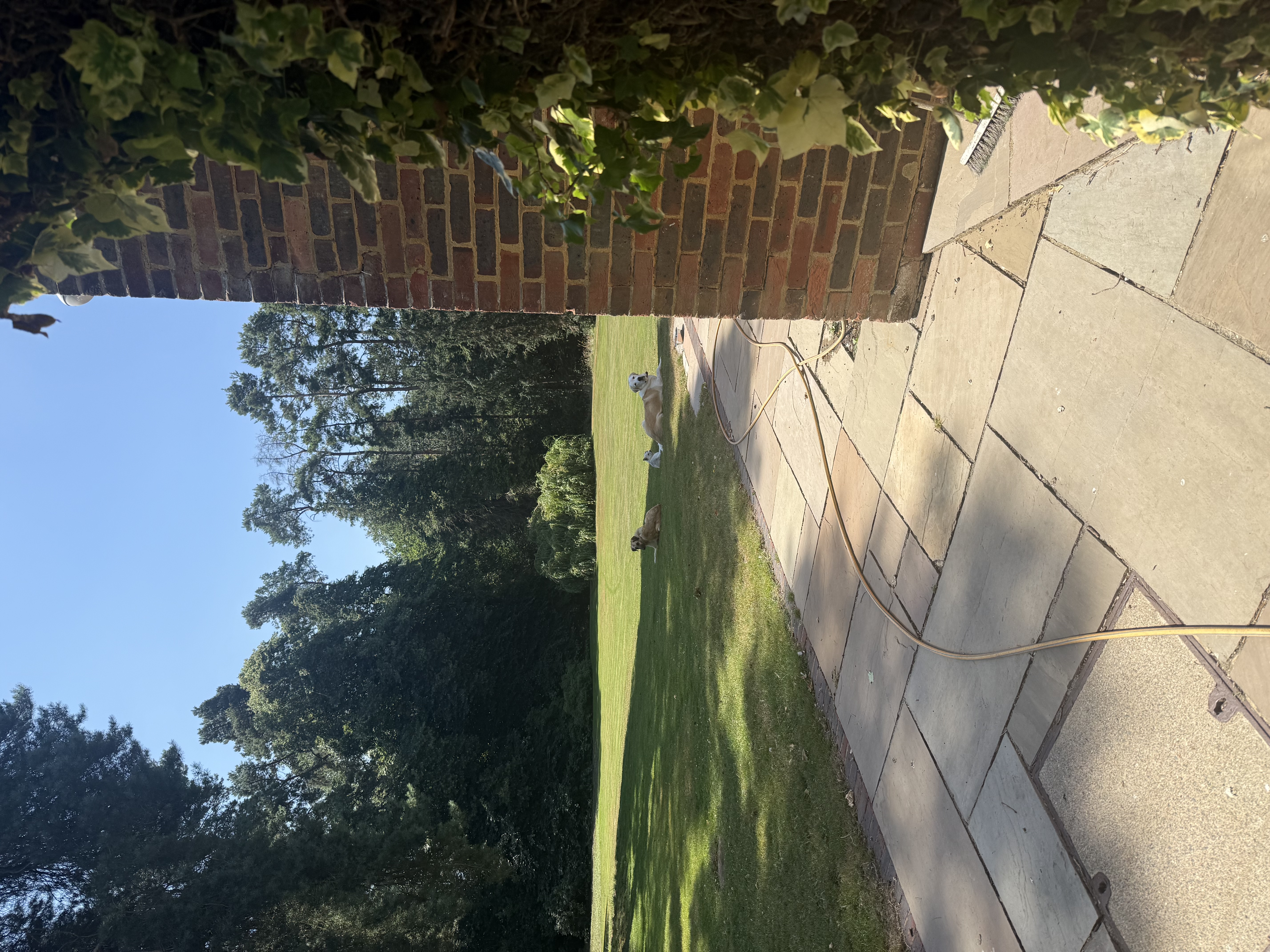image-16