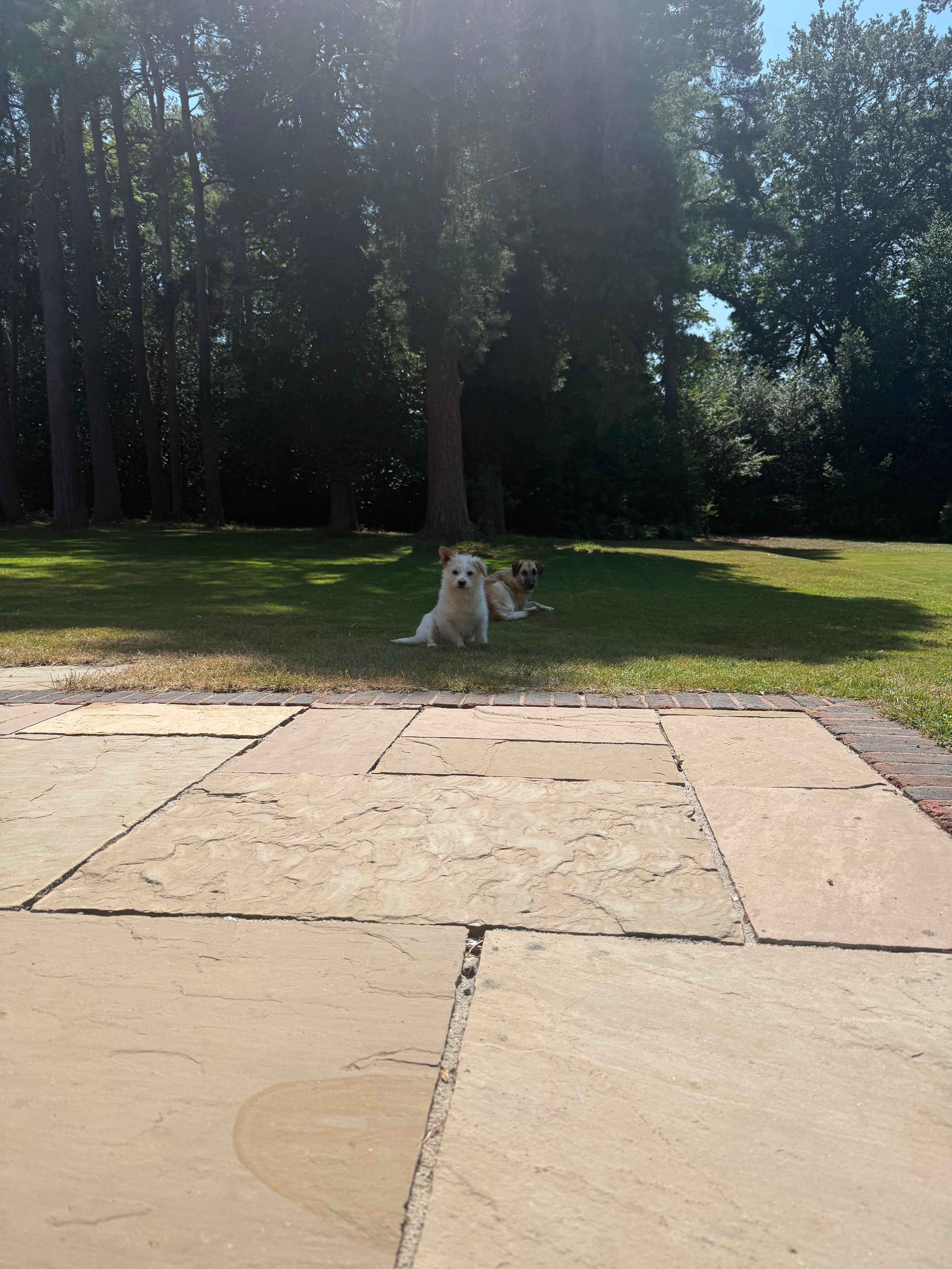 image-13