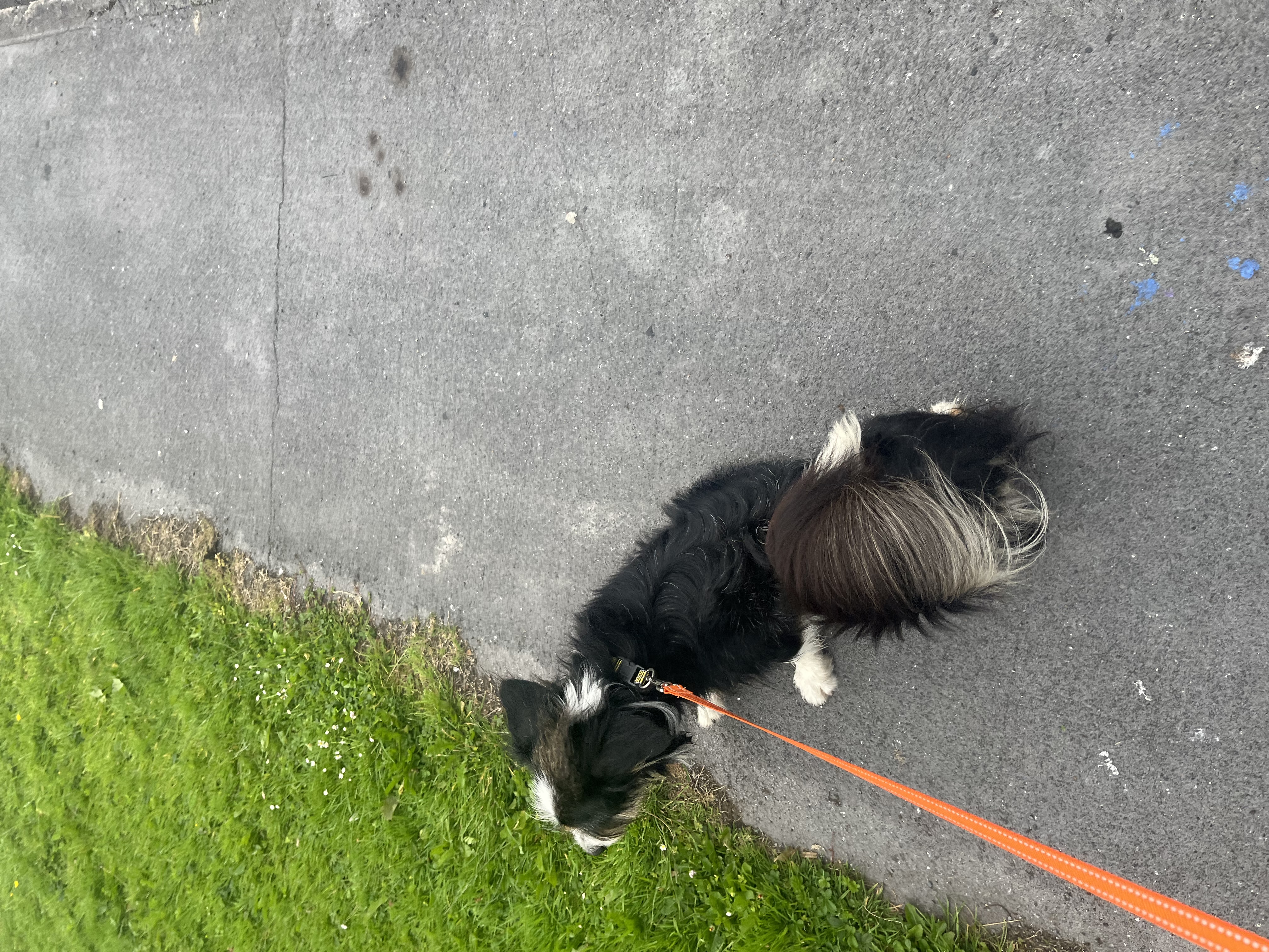 image-7