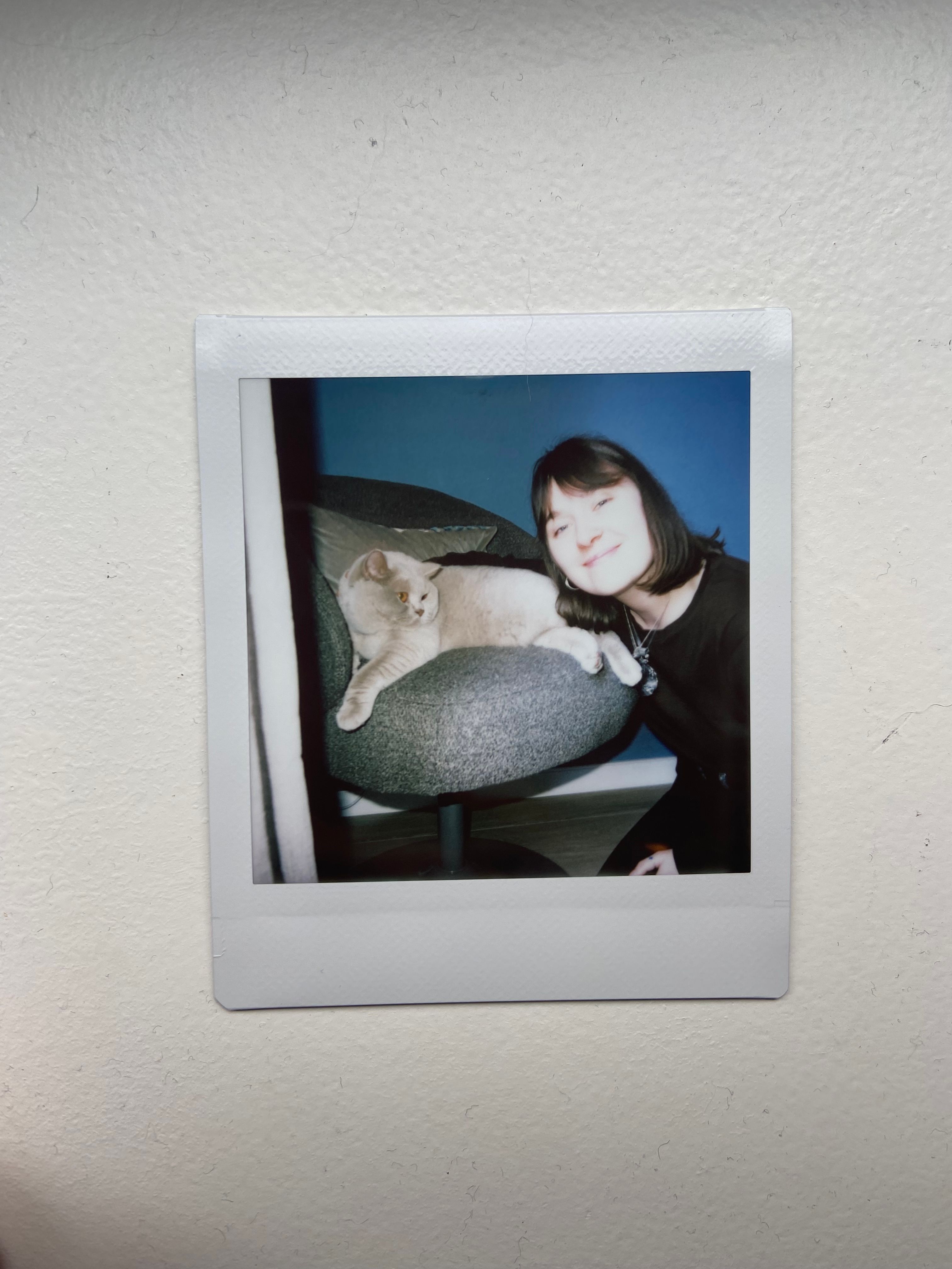 image-4