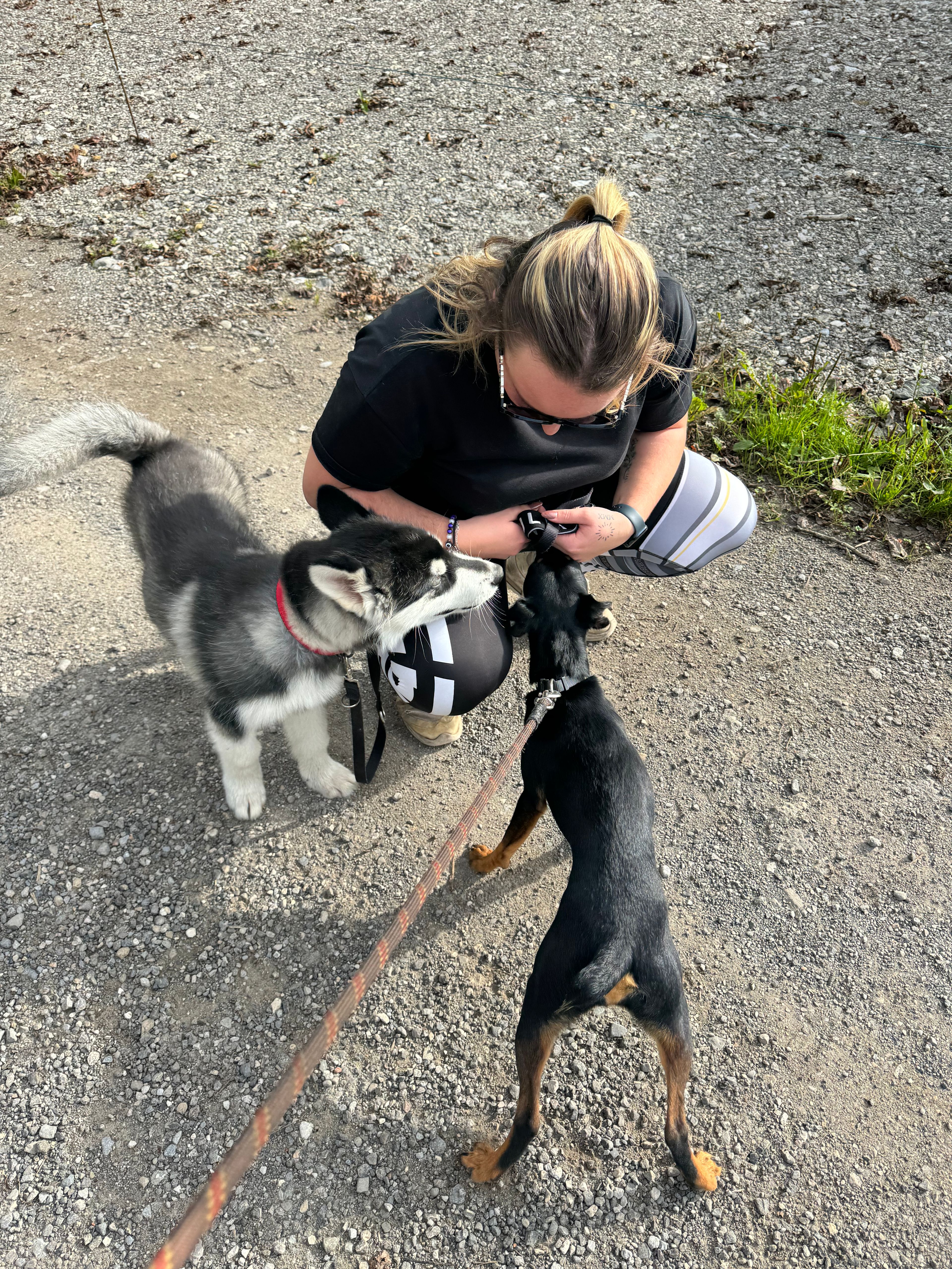 image-9