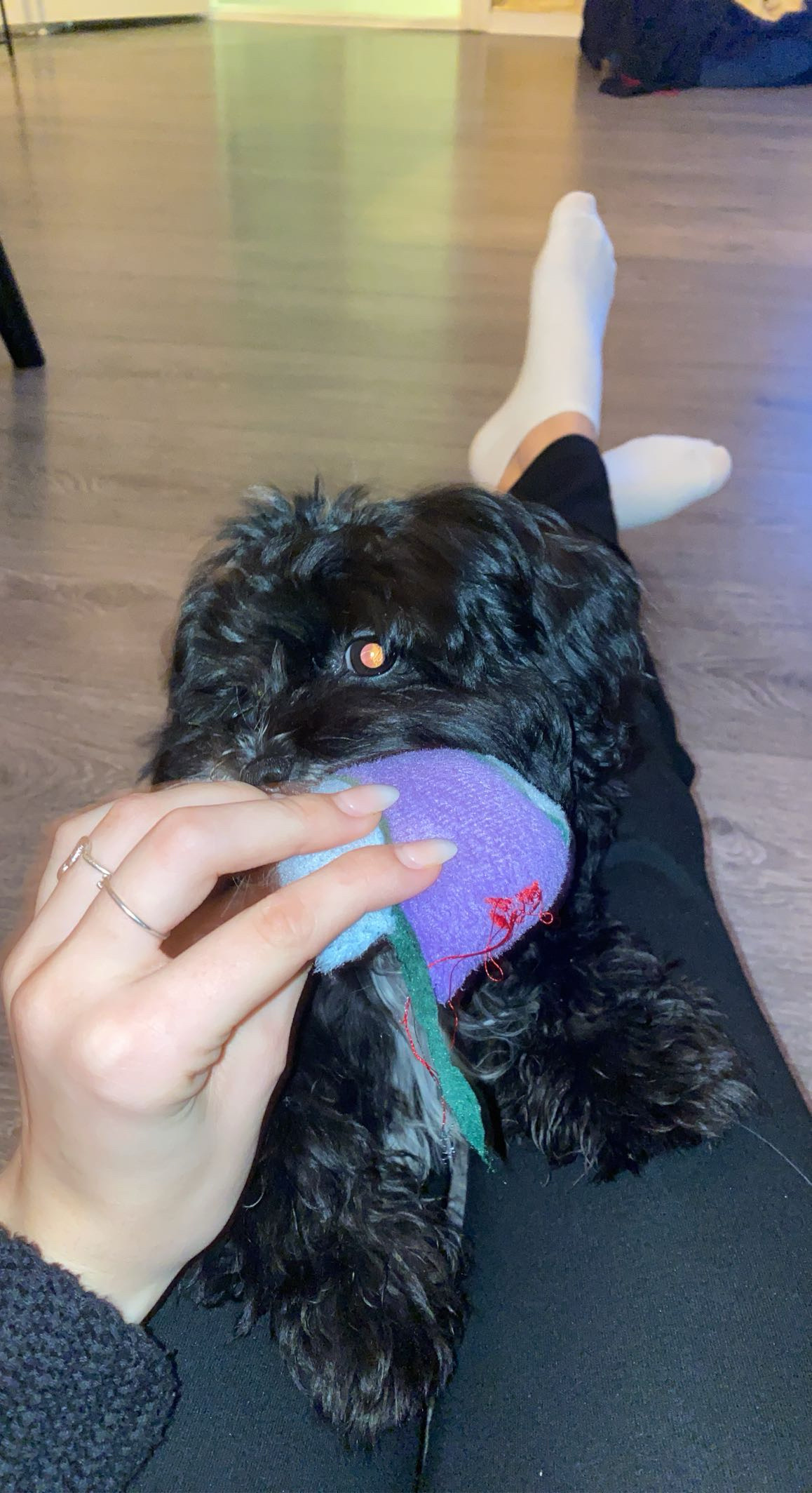 image-6