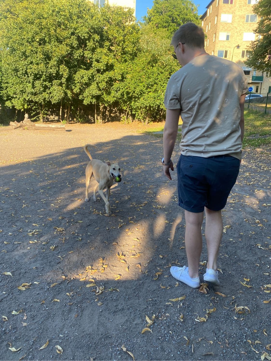 image-1