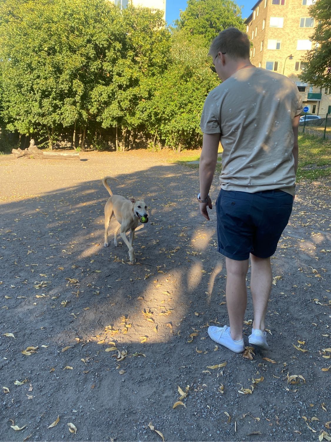 image-1