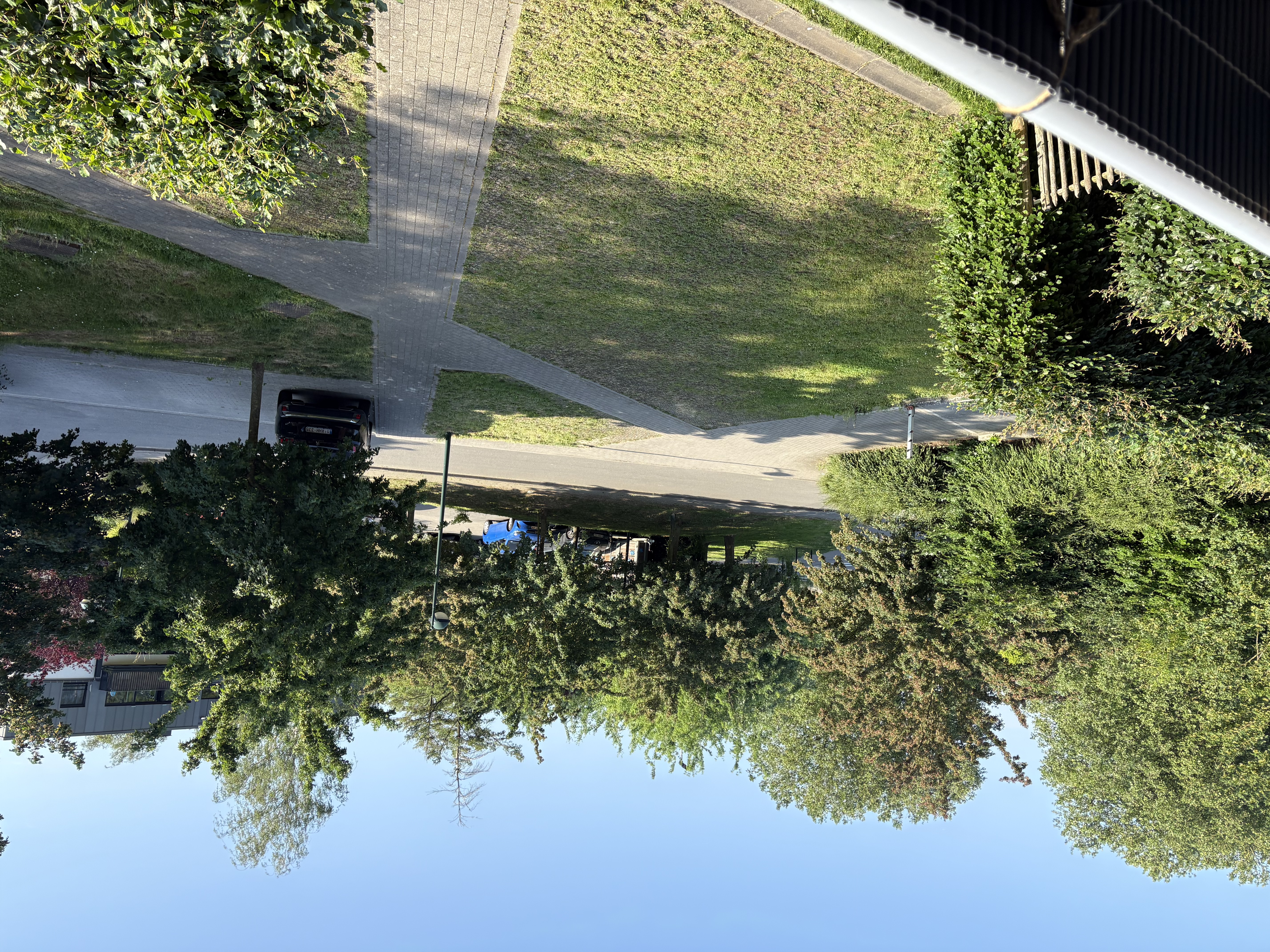 image-20