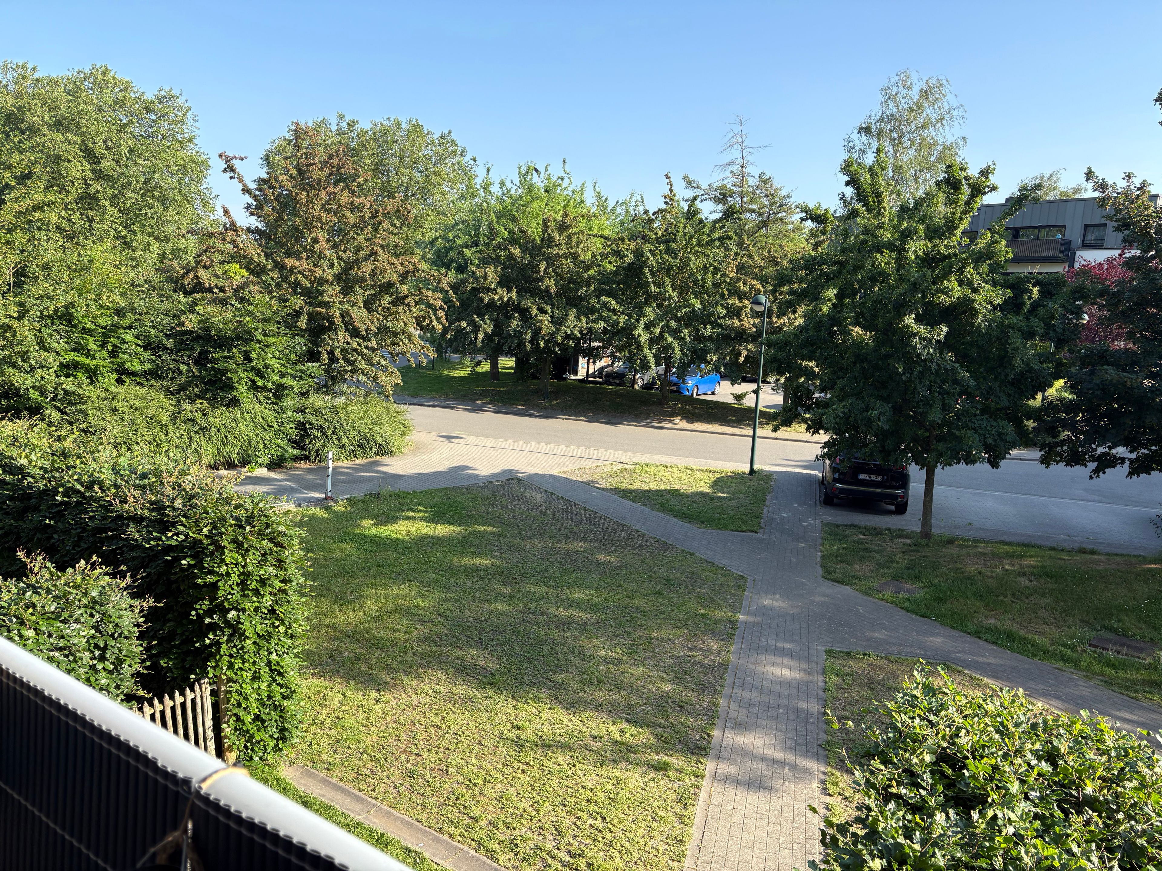 image-20