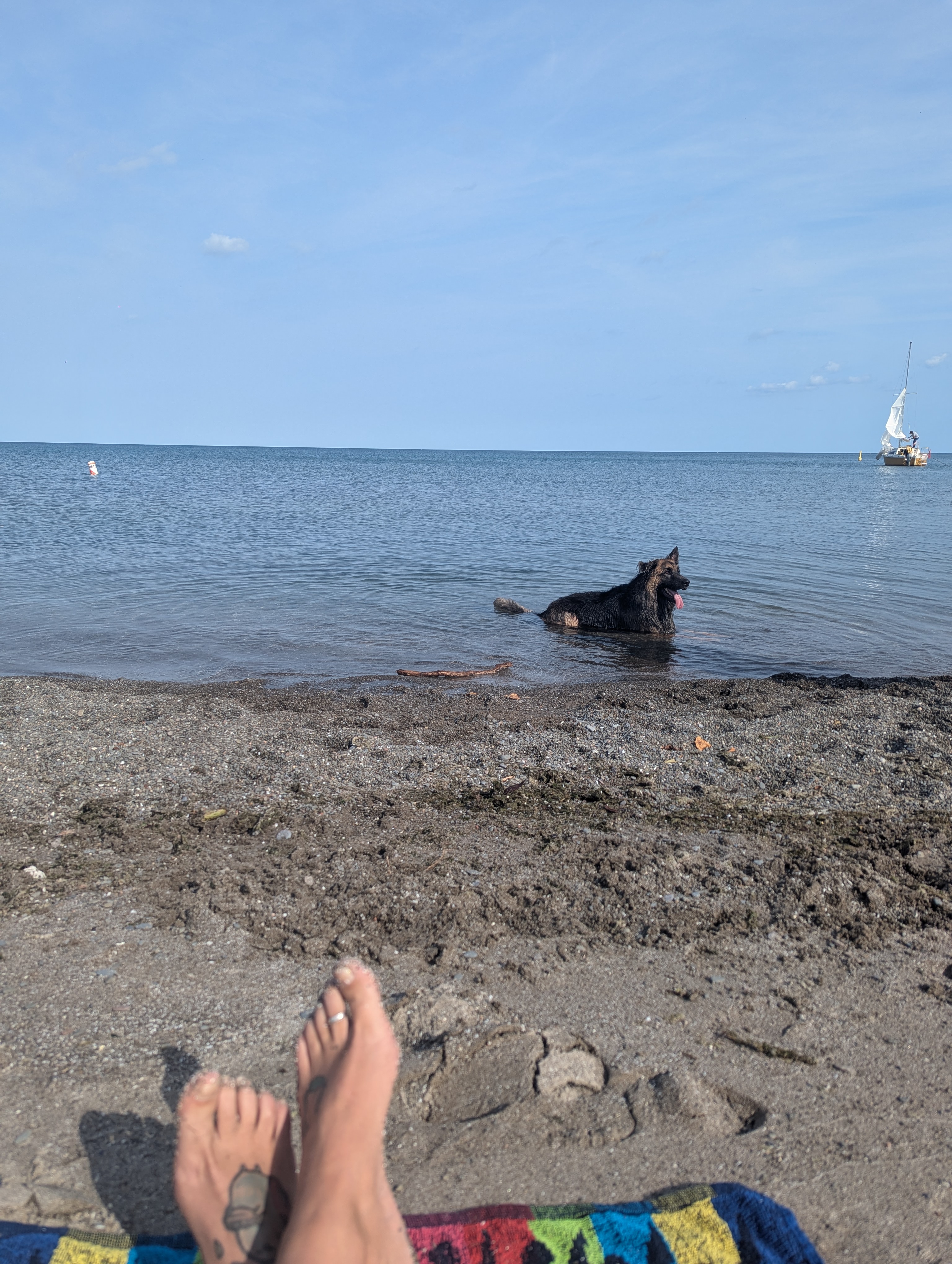 image-11