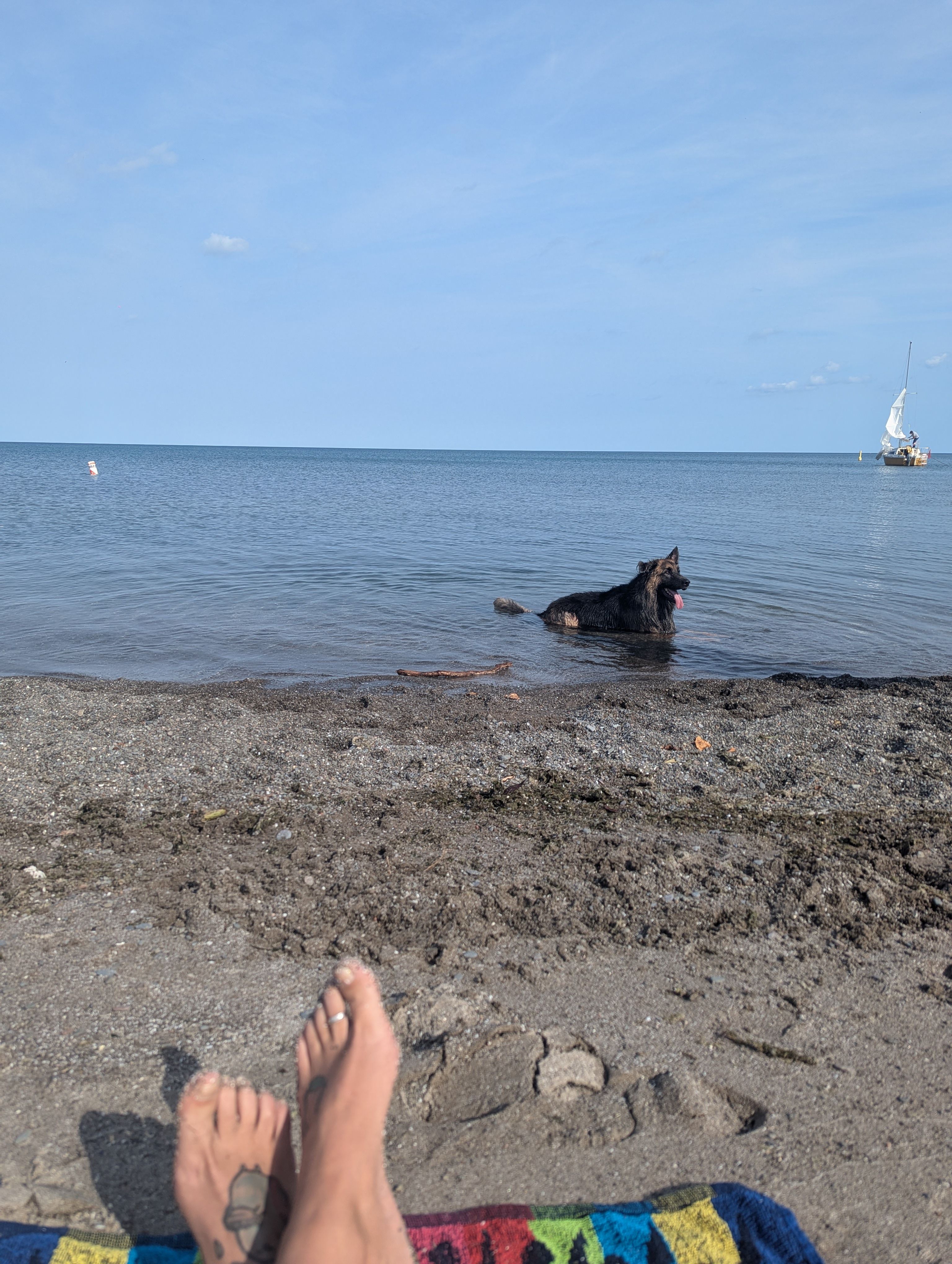 image-11