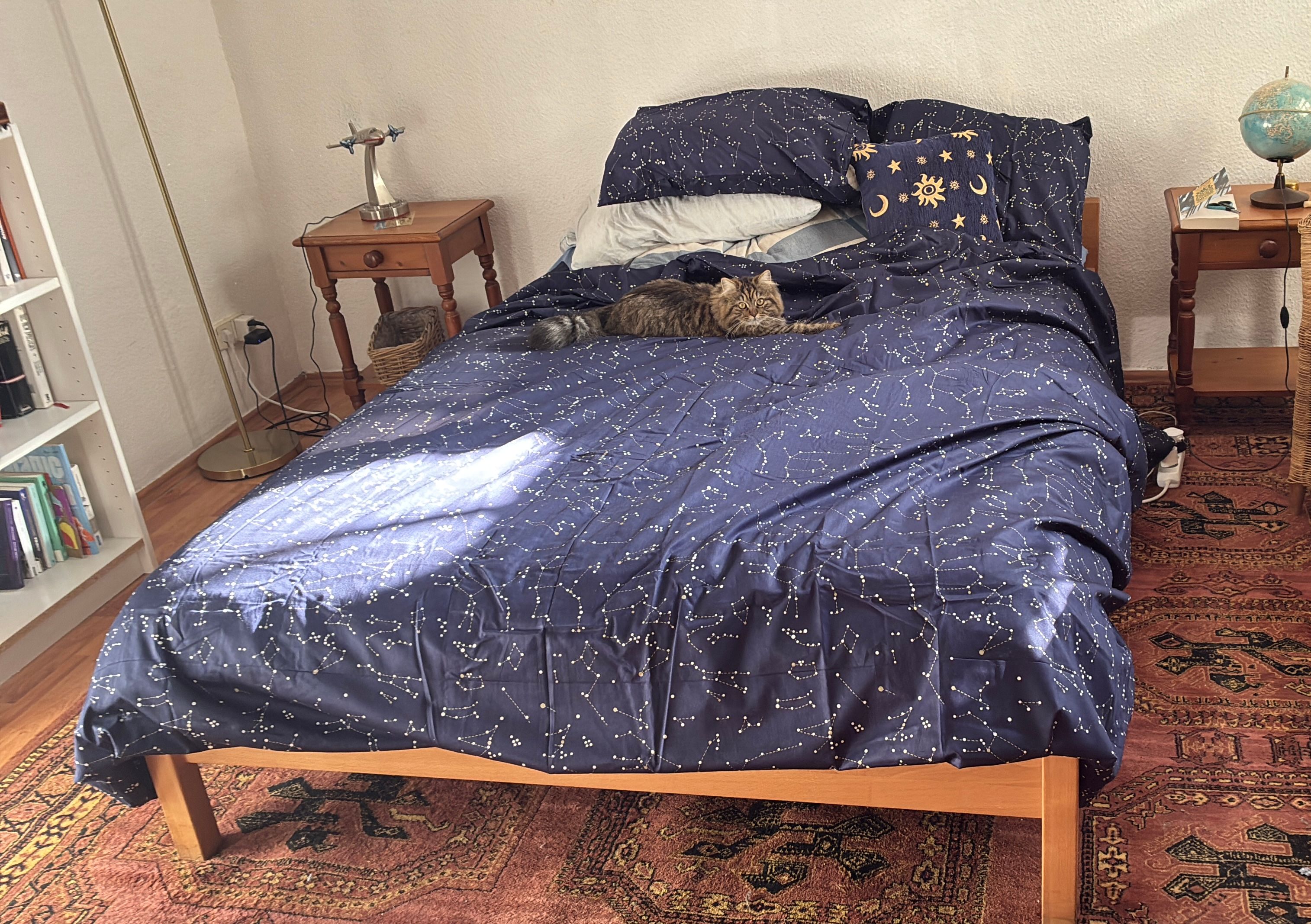 image-9