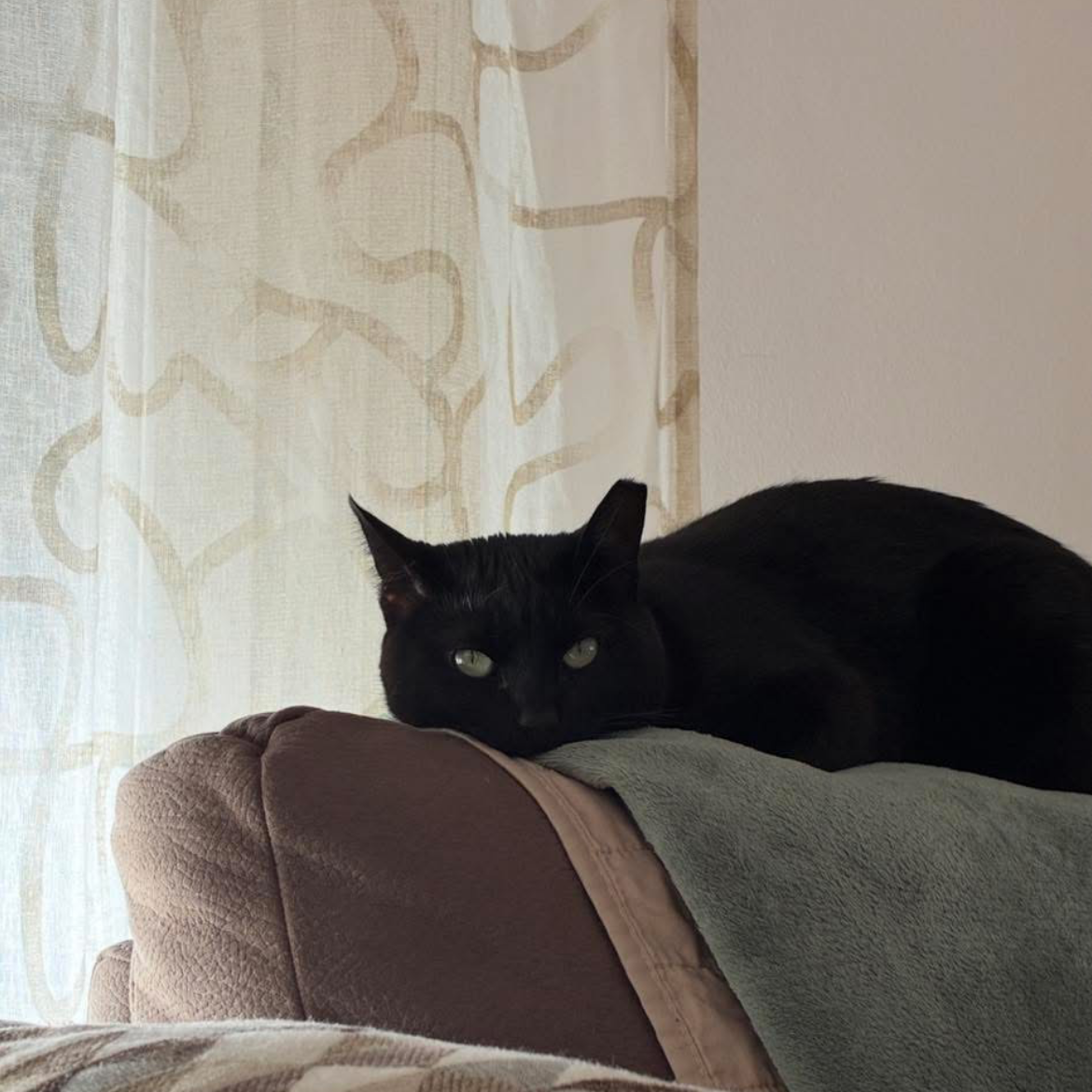 Gin